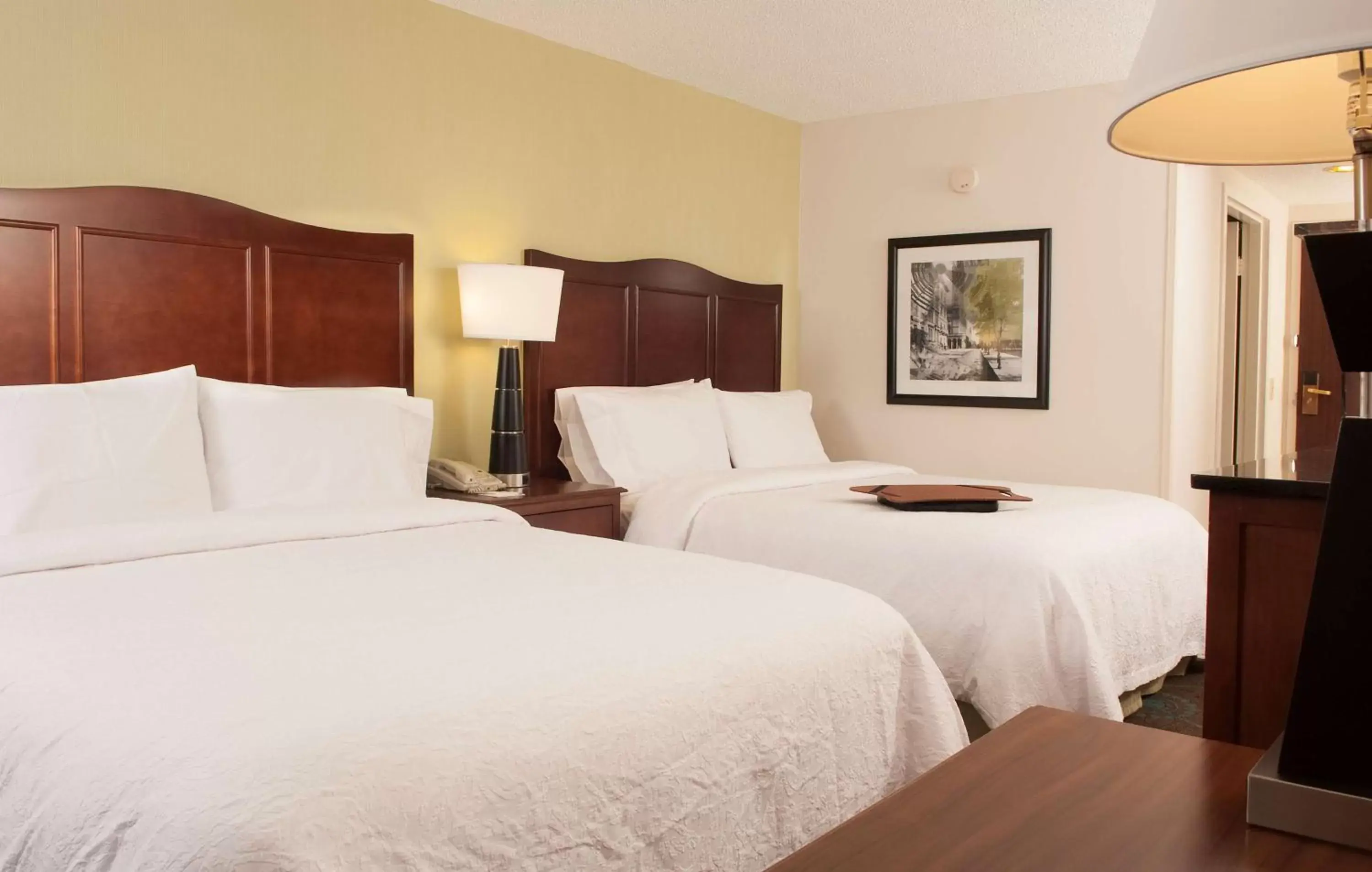 Bed in Hampton Inn Atlanta-North Druid Hills