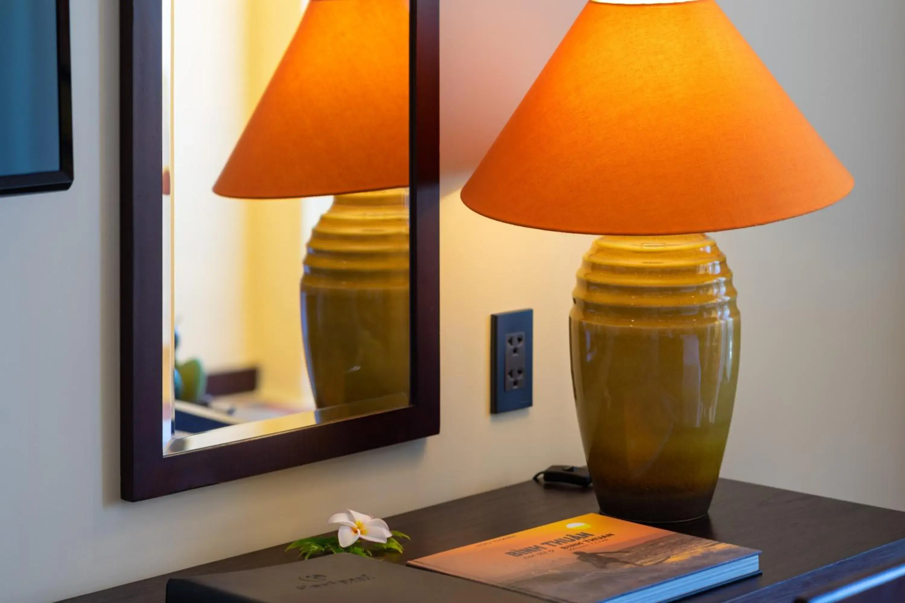 Decorative detail, TV/Entertainment Center in Pandanus Resort