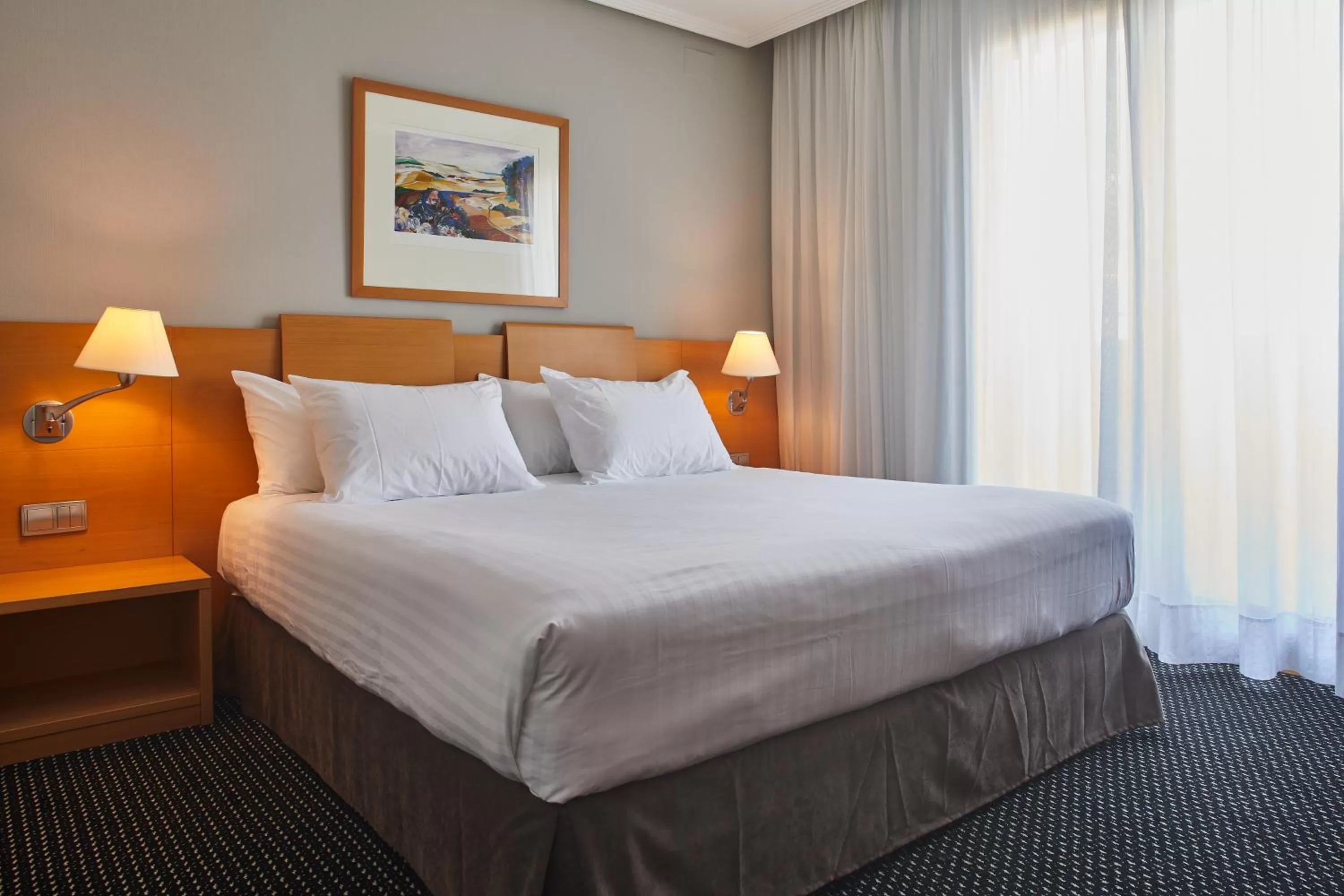 Comfort Double or Twin Room in Silken Alfonso X