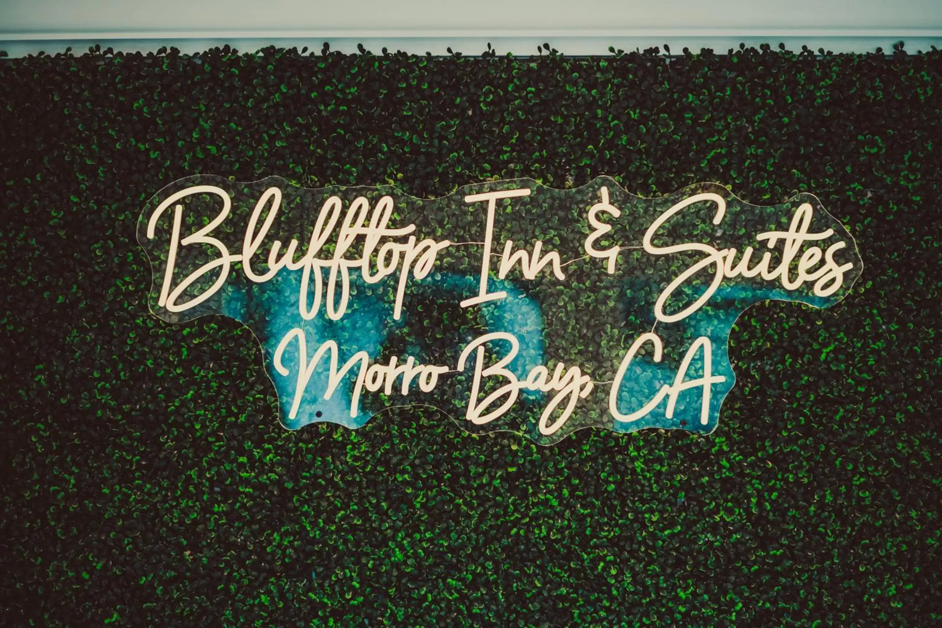 Logo/Certificate/Sign in Blufftop Inn & Suites - Wharf/Restaurant District Logo/Certificate/Sign in Blufftop Inn & Suites - Wharf/Restaurant District