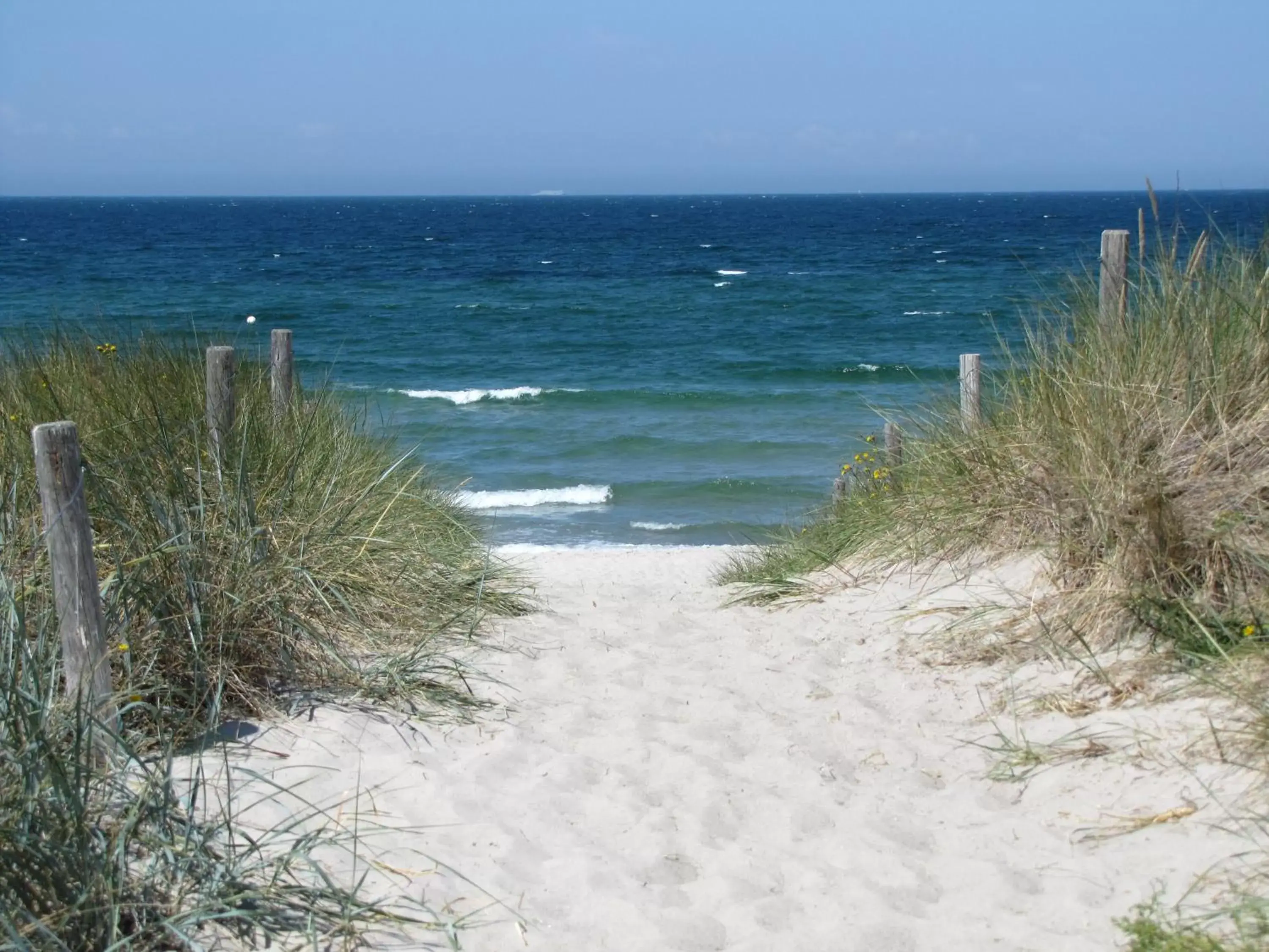 Beach in IFA Graal-Müritz Hotel & Spa