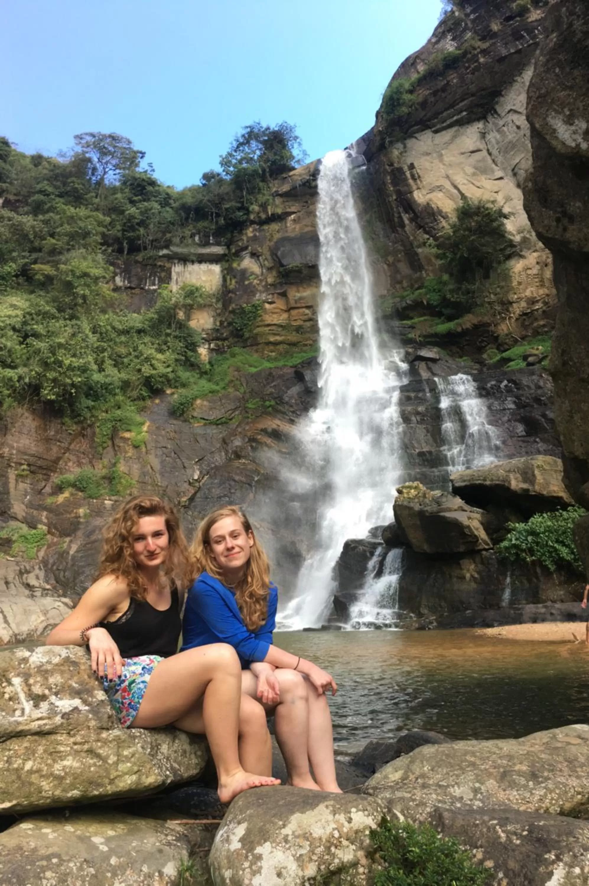 Family in Golden King Guest