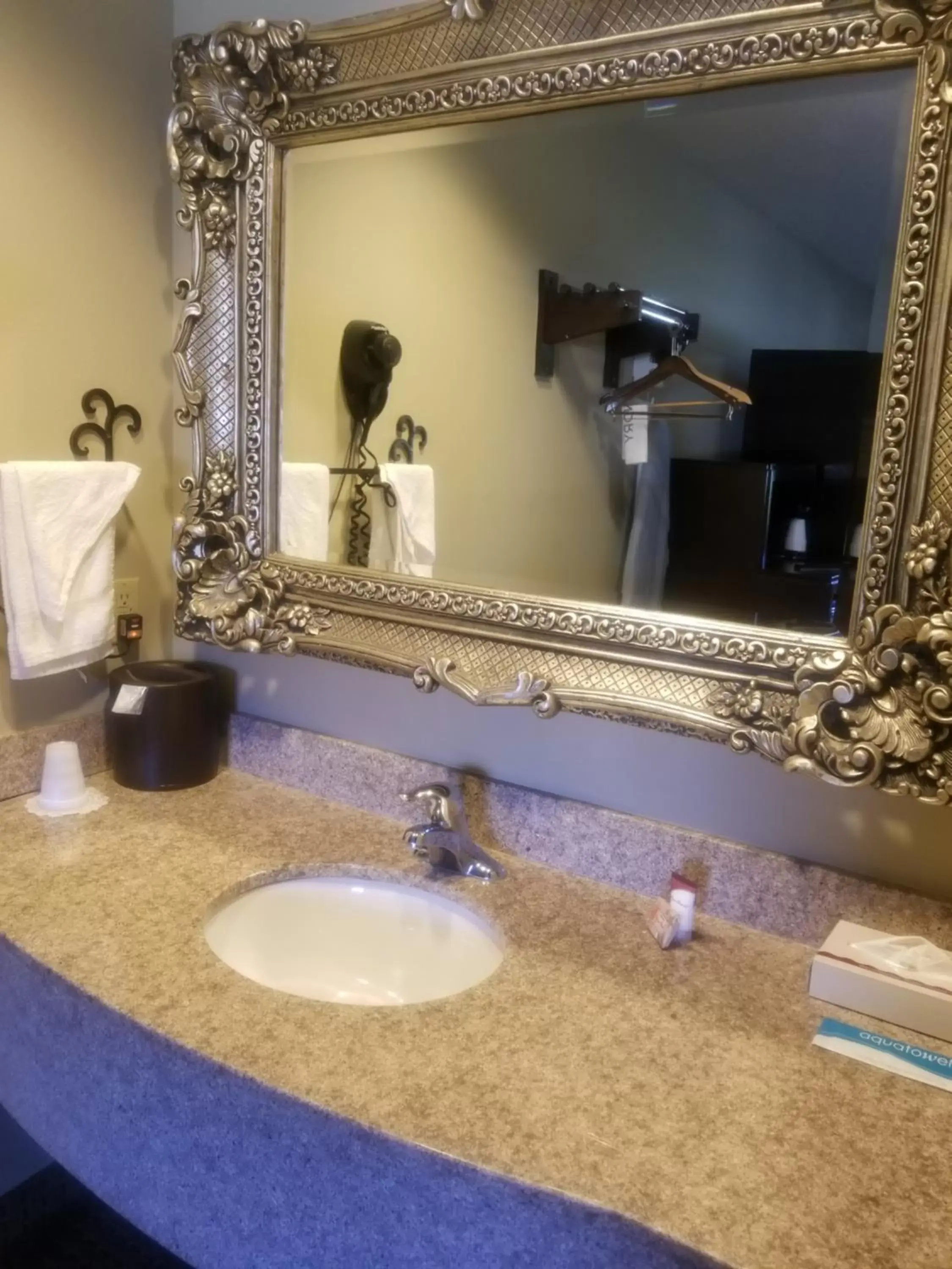 Decorative detail, Bathroom in Inn at Mulberry Grove