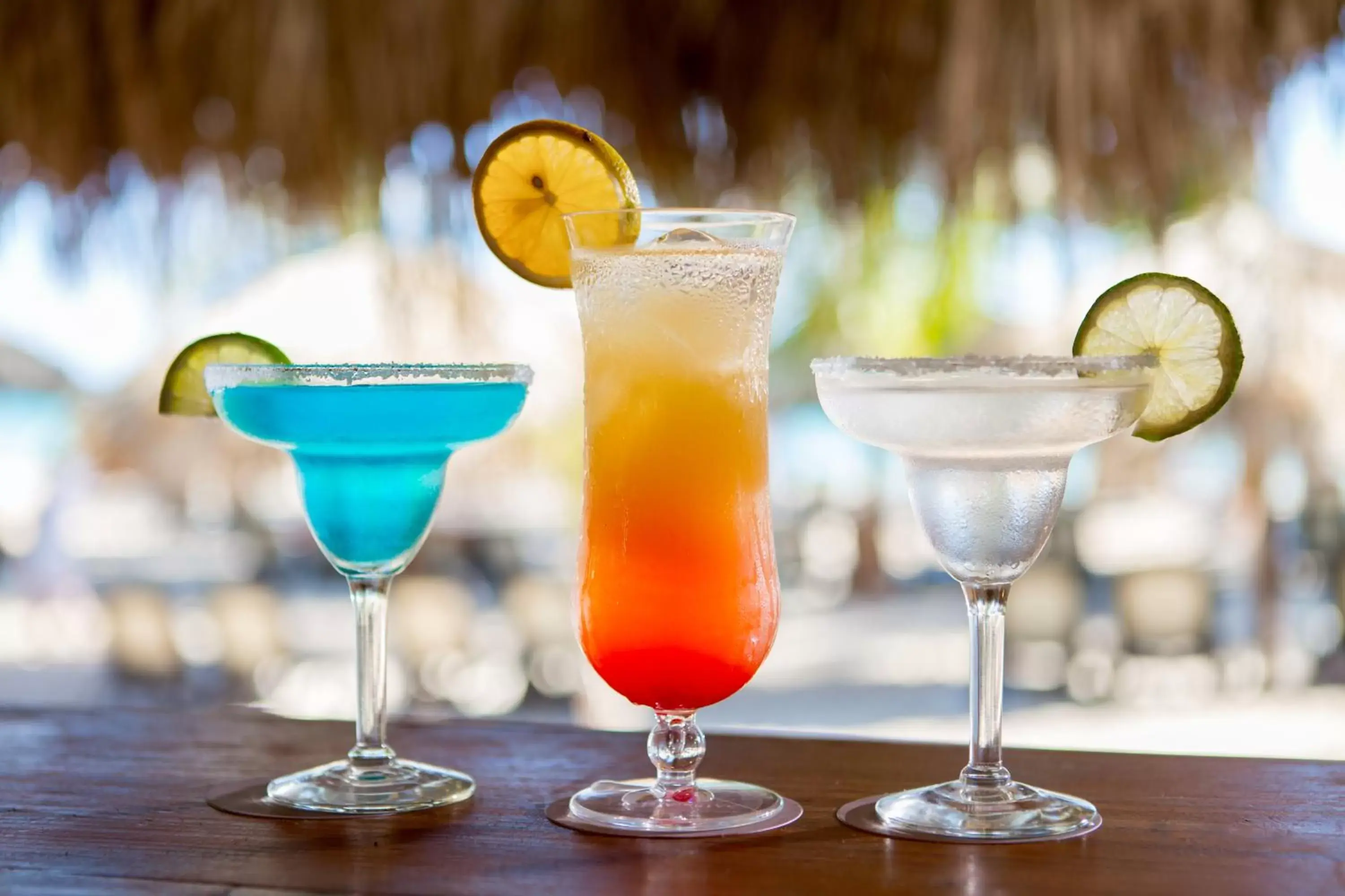 Lounge or bar, Drinks in Impressive Premium Punta Cana - All Inclusive