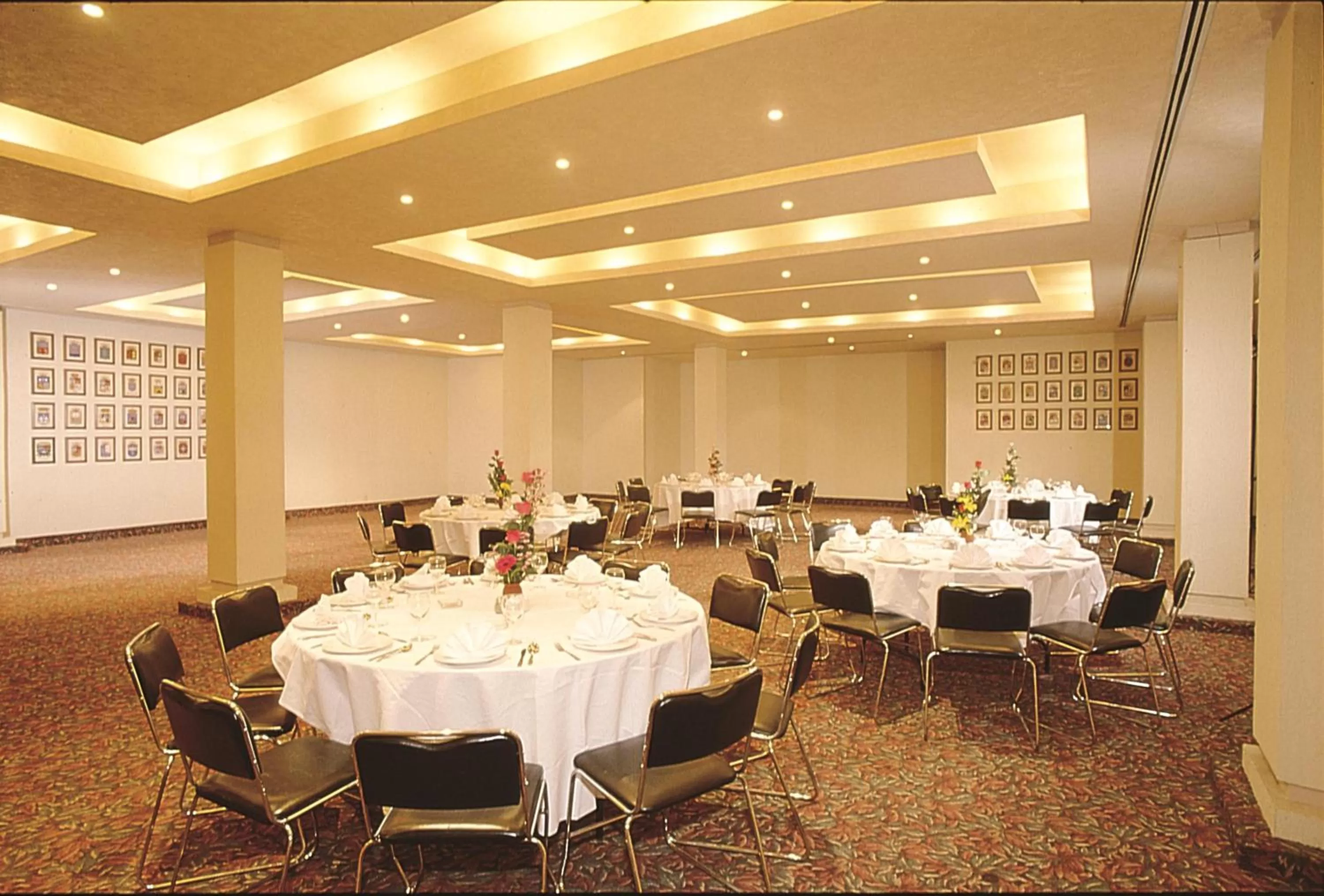 Banquet/Function facilities in Hotel Sevilla