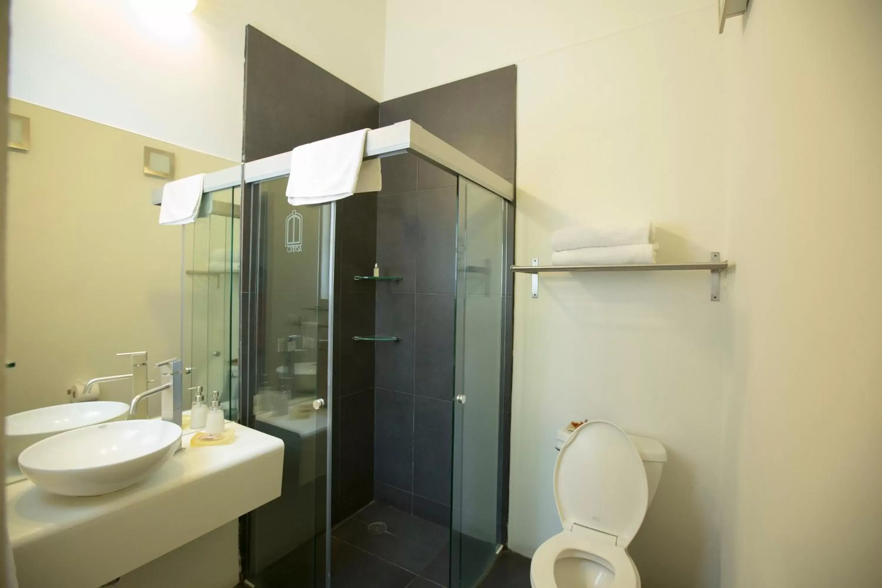 Shower, Bathroom in Hotel Villa Condesa