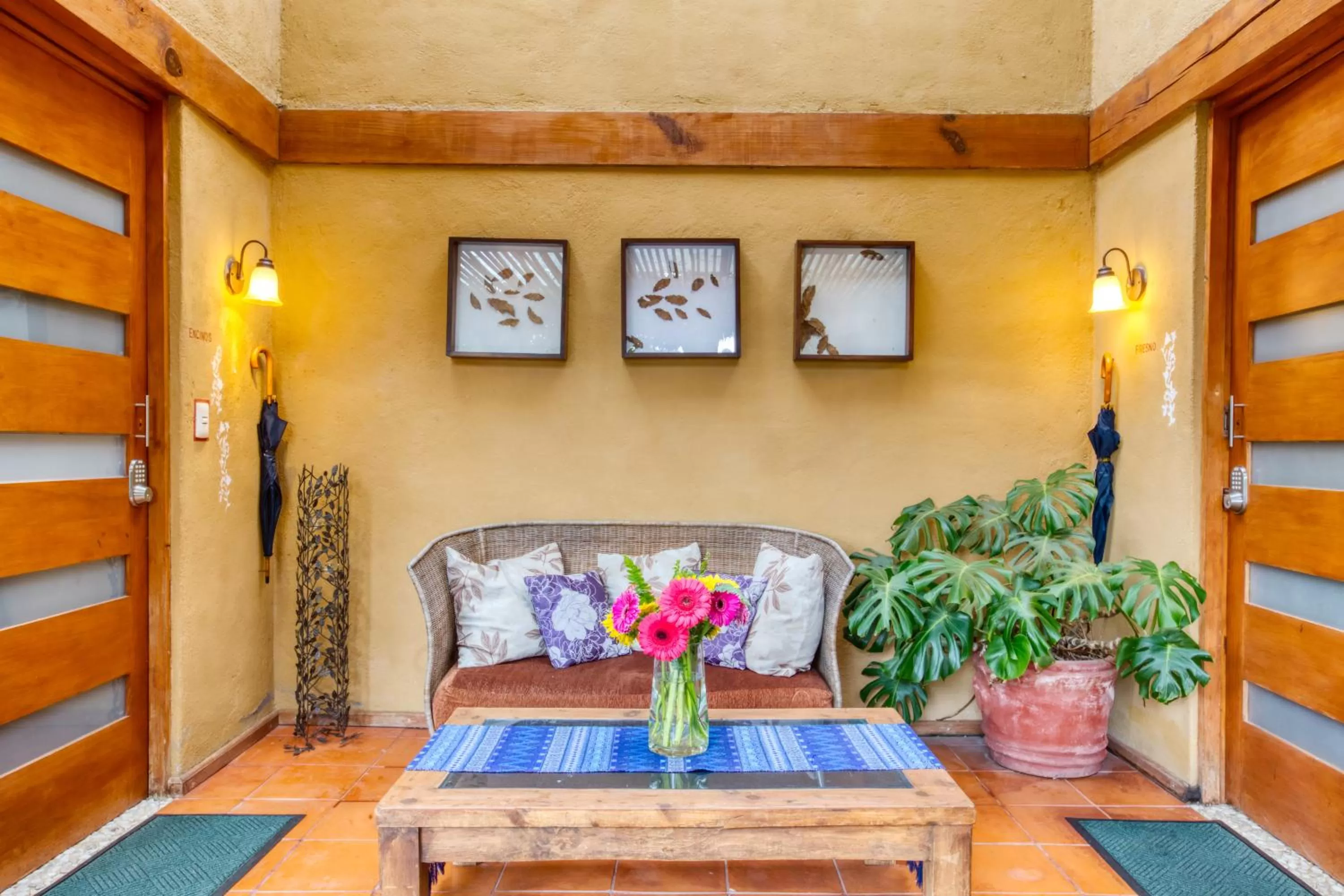 Nightclub / DJ in La Joya del Viento