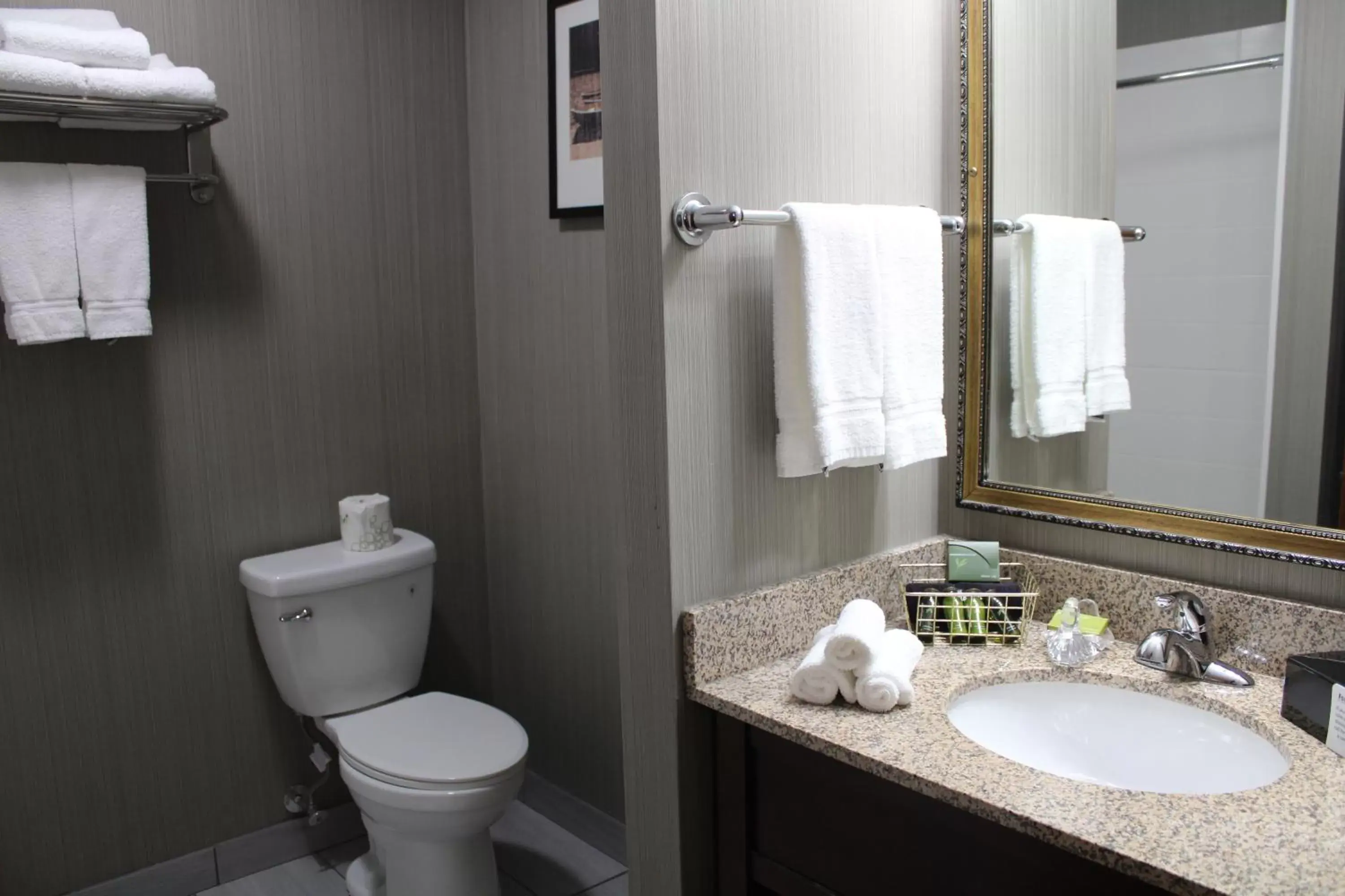 Toilet, Bathroom in The Black Swan Lee - Lenox, Ascend Hotel Collection