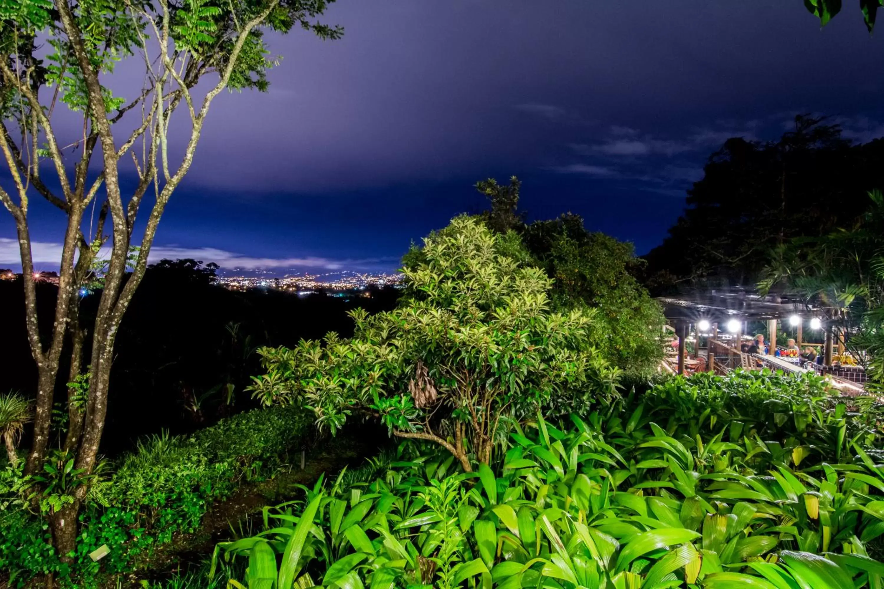 Natural landscape in Finca Rosa Blanca Coffee Farm and Inn