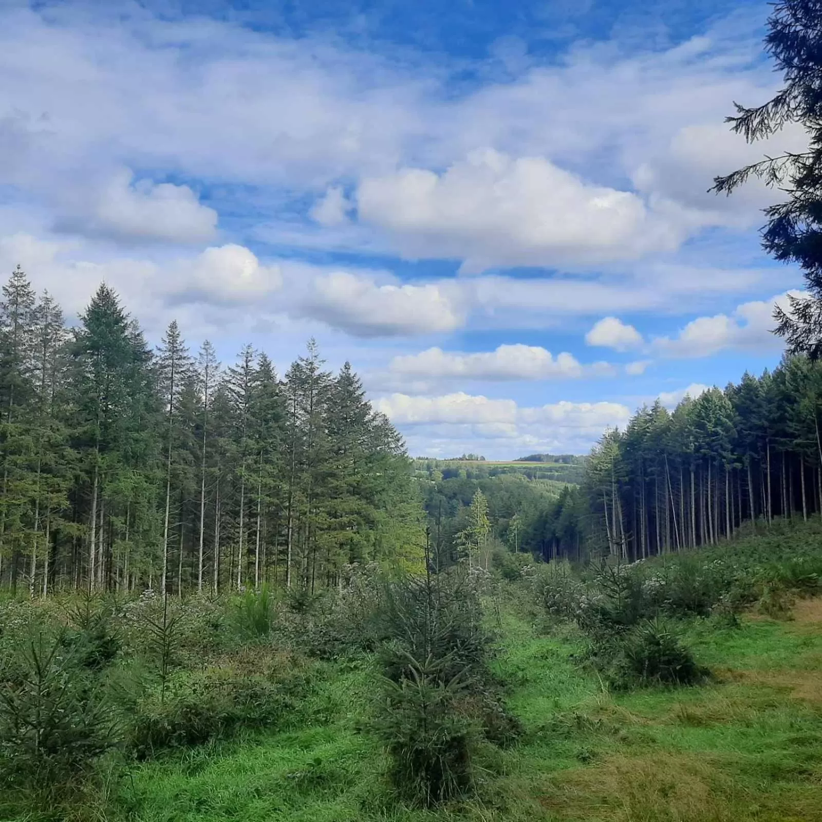 Off site in Golden Lion