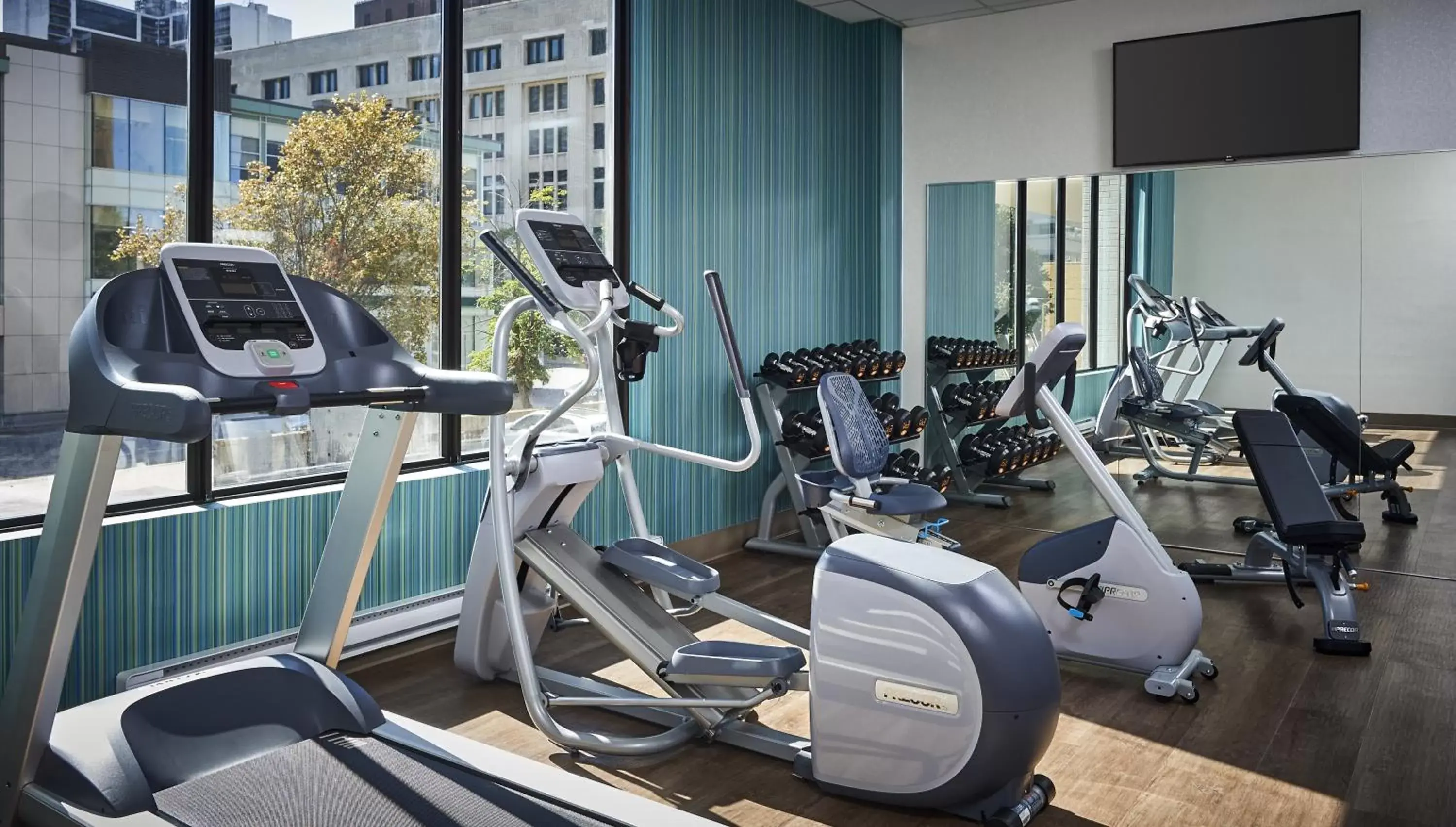 Fitness centre/facilities, Fitness Center/Facilities in Holiday Inn Express Windsor Waterfront, an IHG Hotel