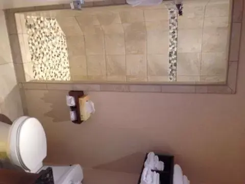 Bathroom in C'mon Inn & Suites Fargo