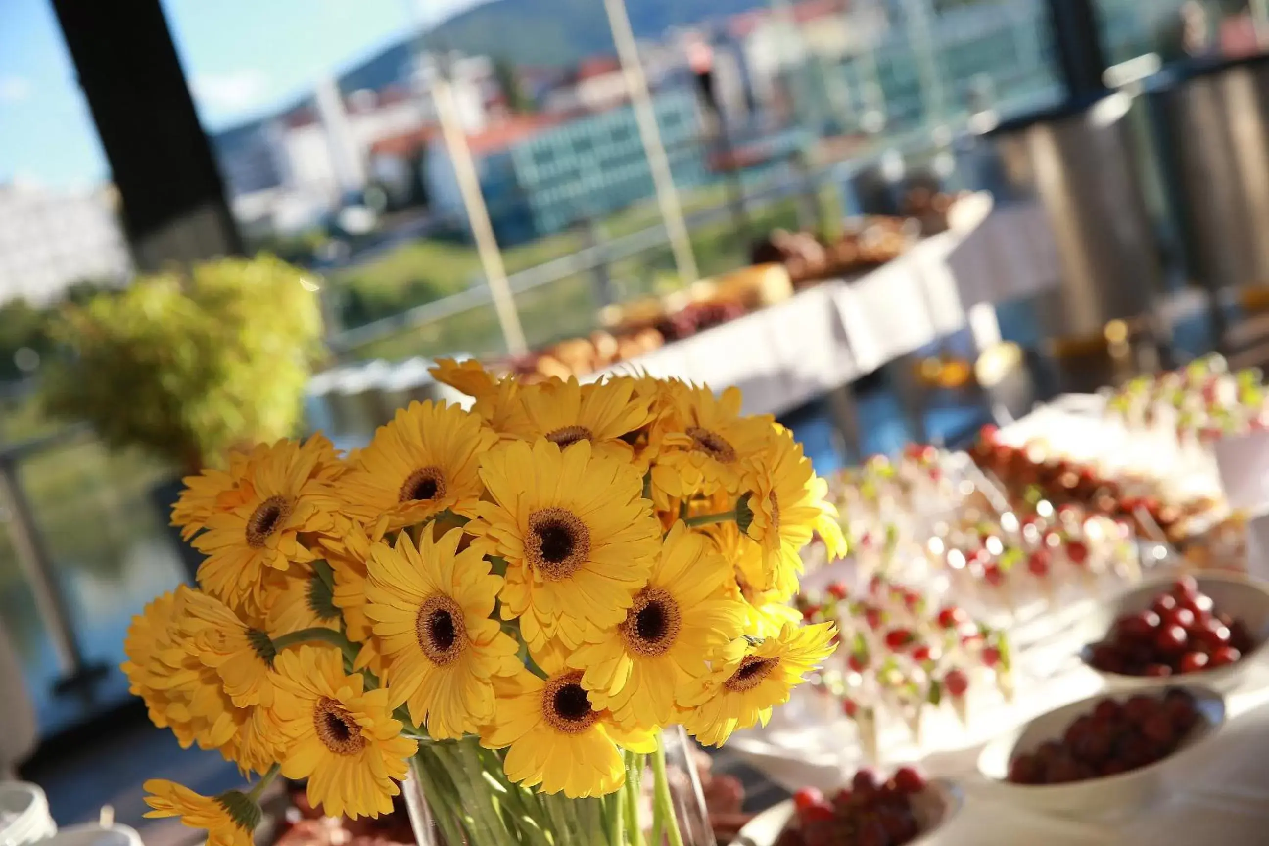 Patio in Hotel City Maribor