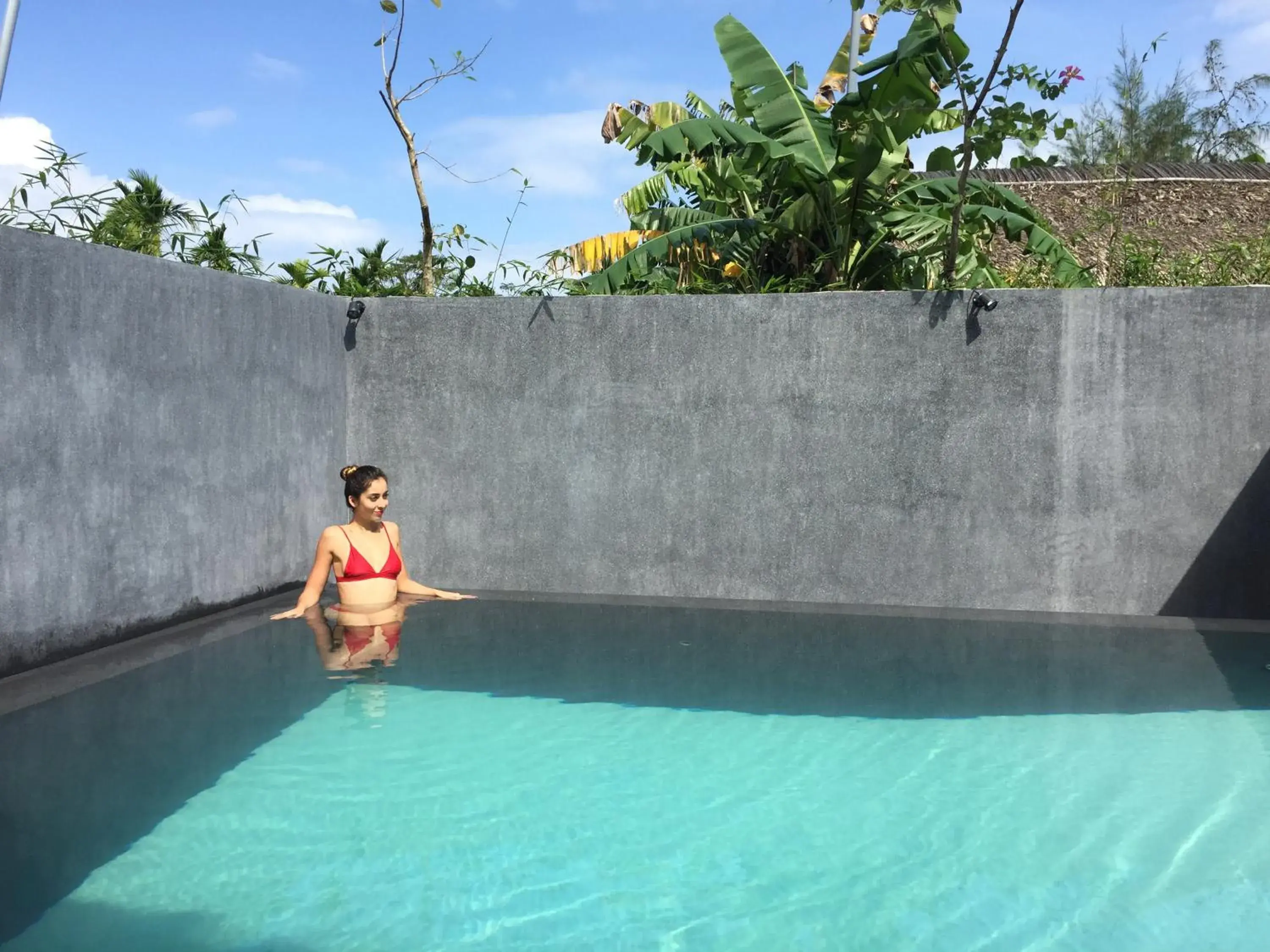 Swimming Pool in Palm View Villa