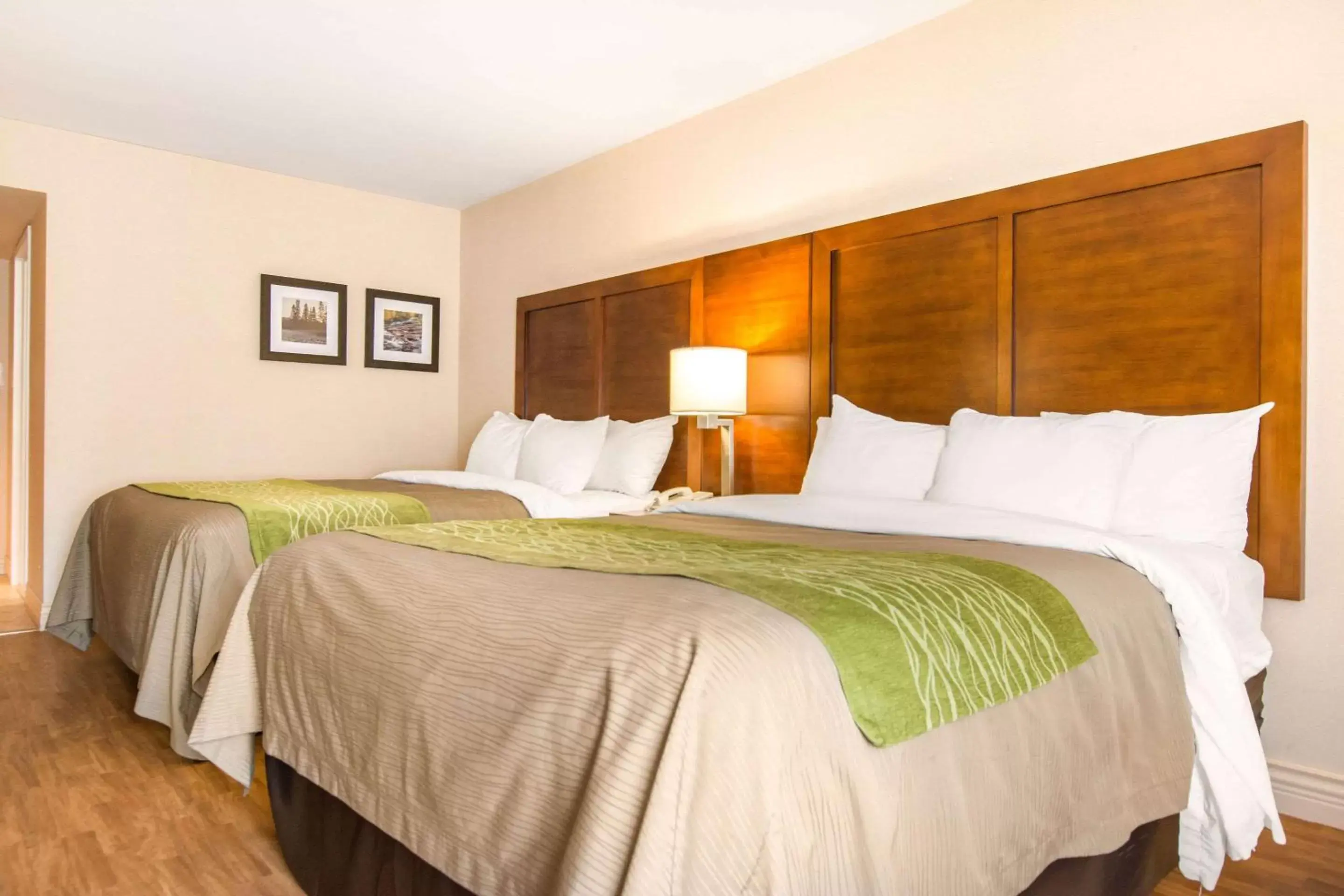 Photo of the whole room, Bed in Comfort Inn & Suites Shawinigan