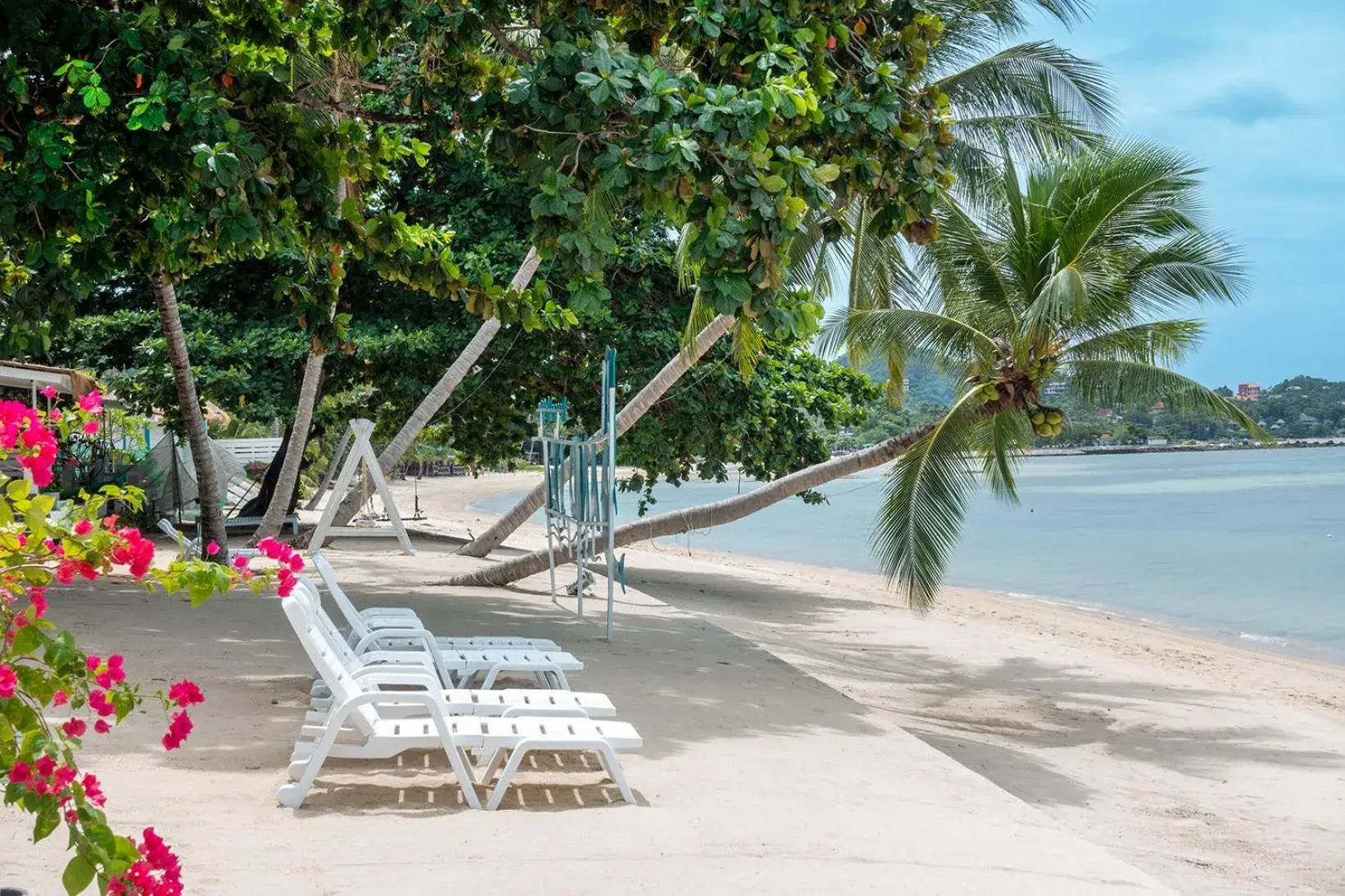 Beach in Sand Sea Resort & Spa - Lamai Beach , Koh Samui