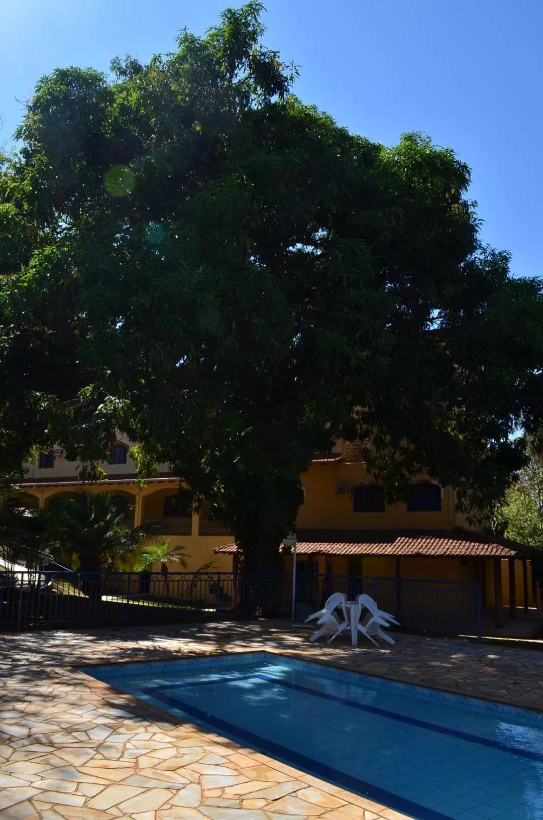 Swimming pool in Jardin Park Hotel