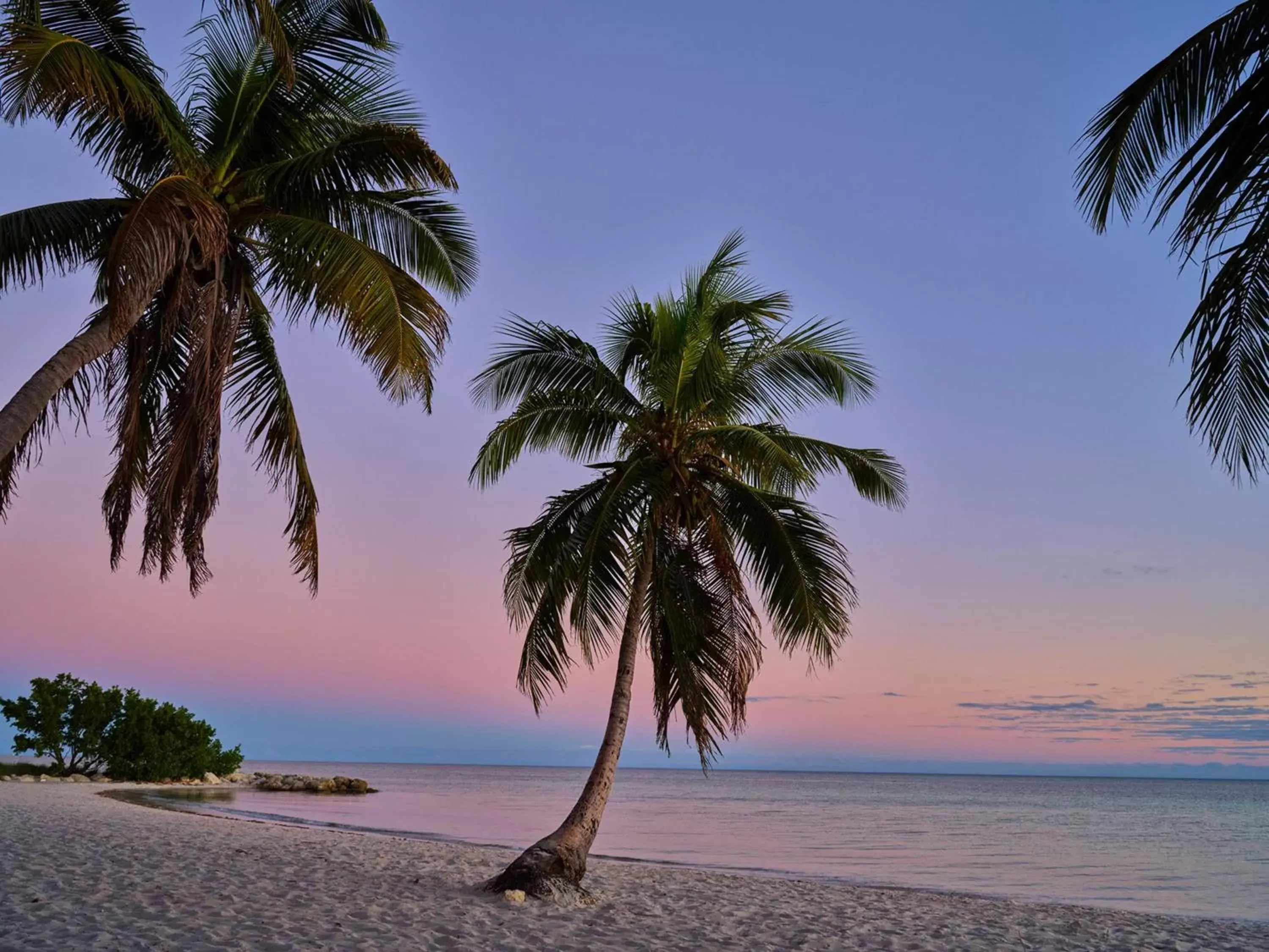 Beach in Margaritaville Beach House Key West