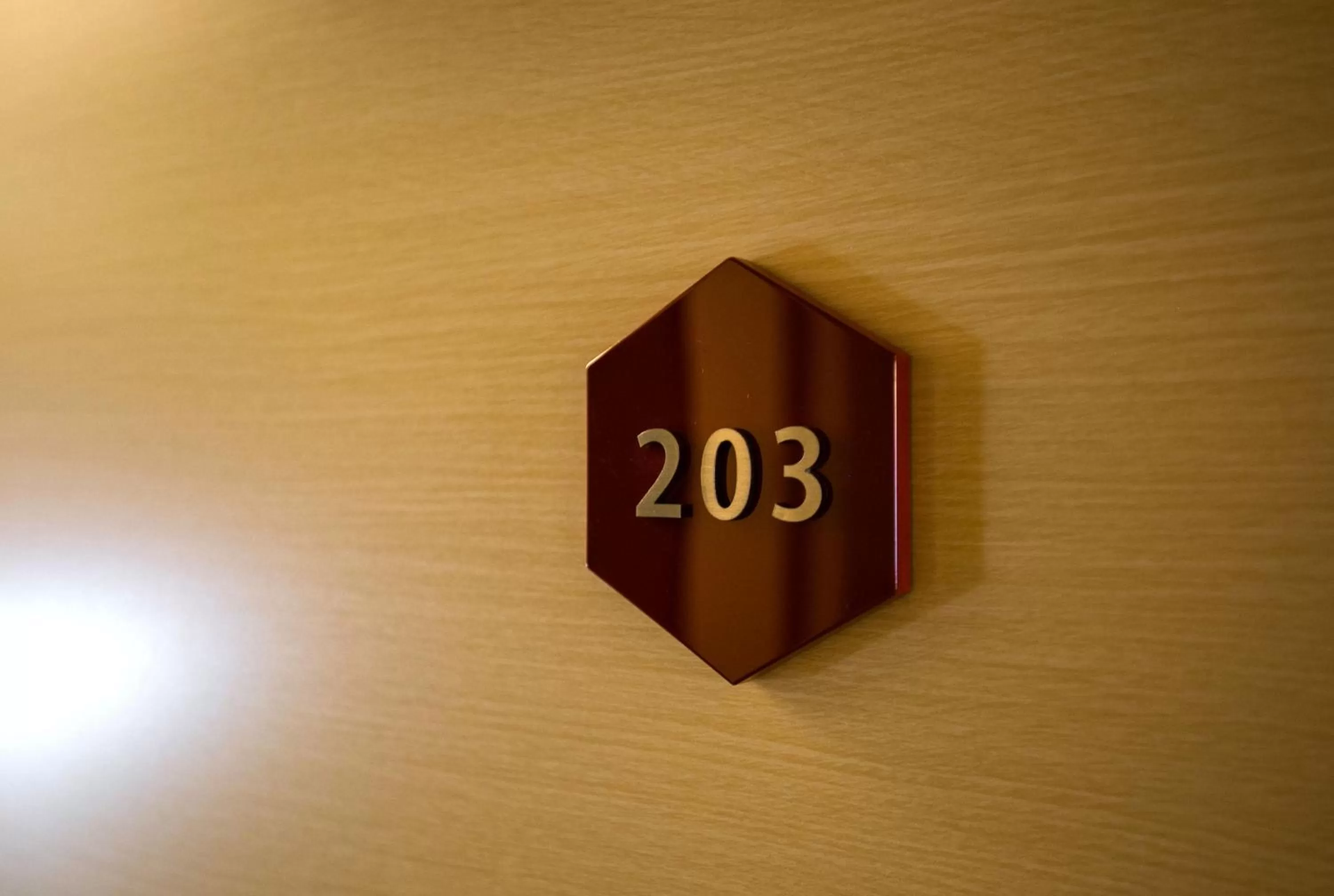 Decorative detail in Kyoto Kamanza Hotel