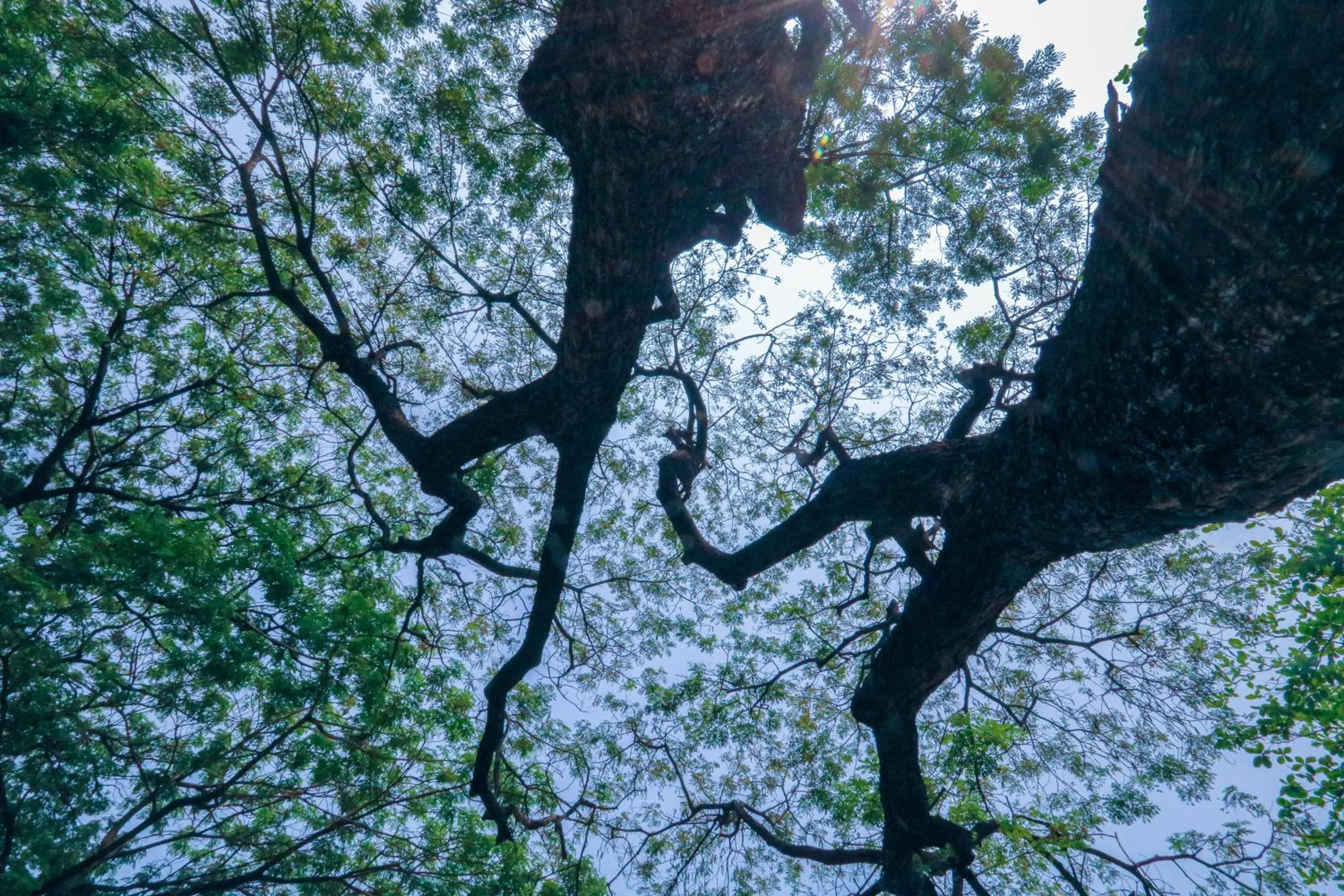 Property building in Jamjuree Home at Udonthani