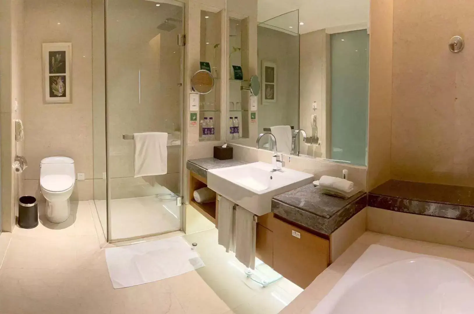 Toilet, Bathroom in Holiday Inn Tianjin Riverside, an IHG Hotel