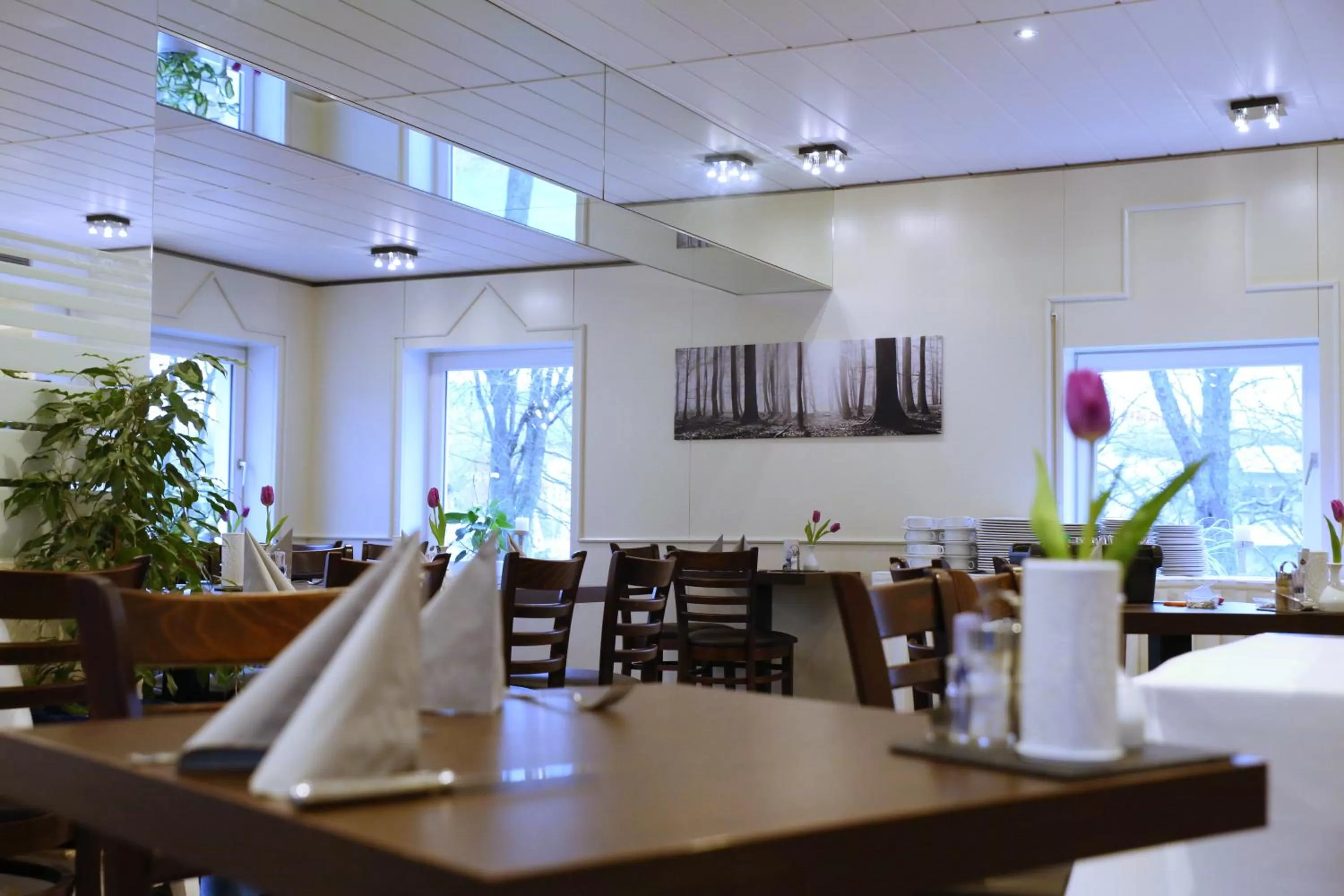 Restaurant/places to eat in Waldhotel Wilhelmshöhe