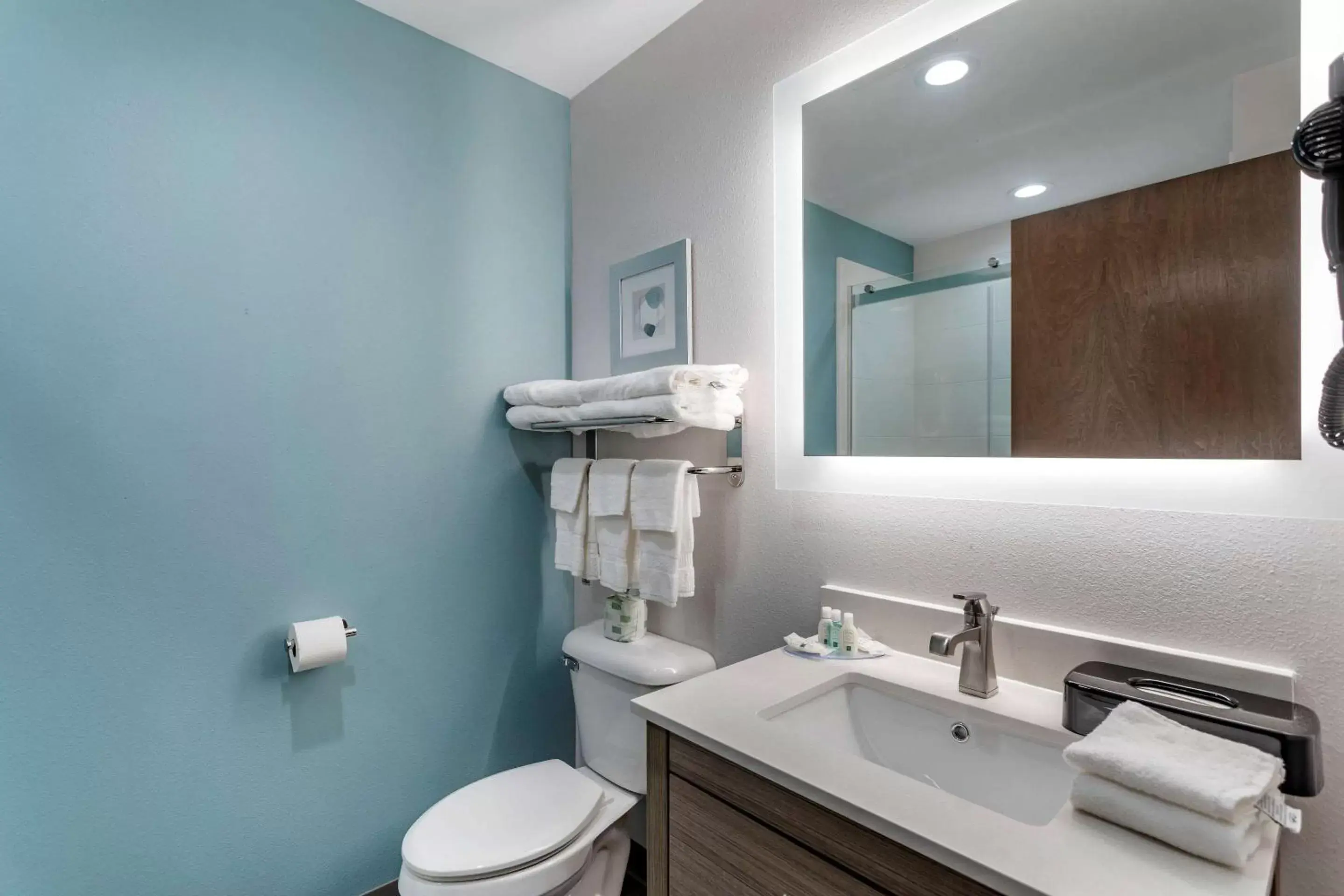 Bathroom in Quality Inn Lebanon - Nashville Area