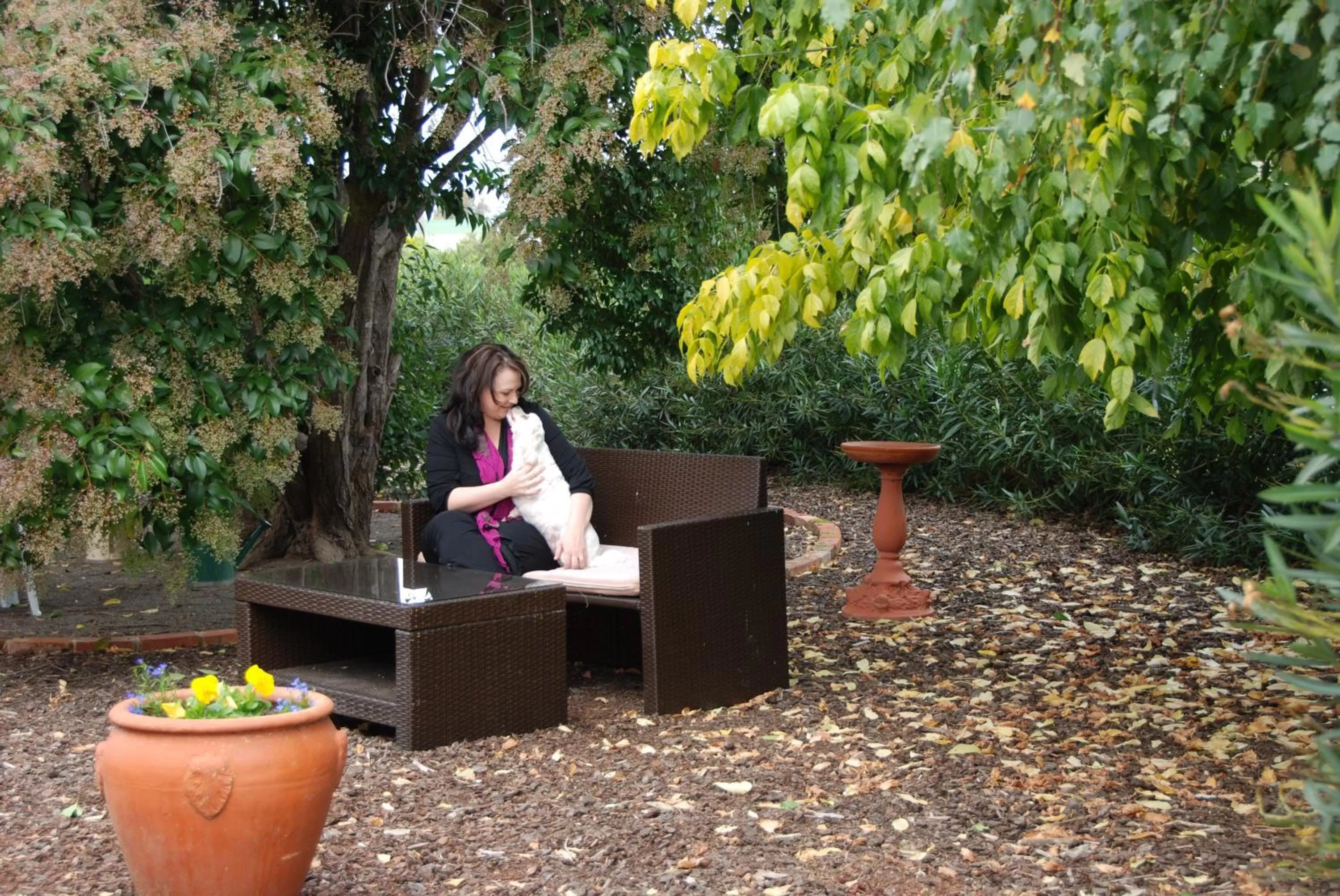 Garden in Must Love Dogs B&B & Self Contained Cottage