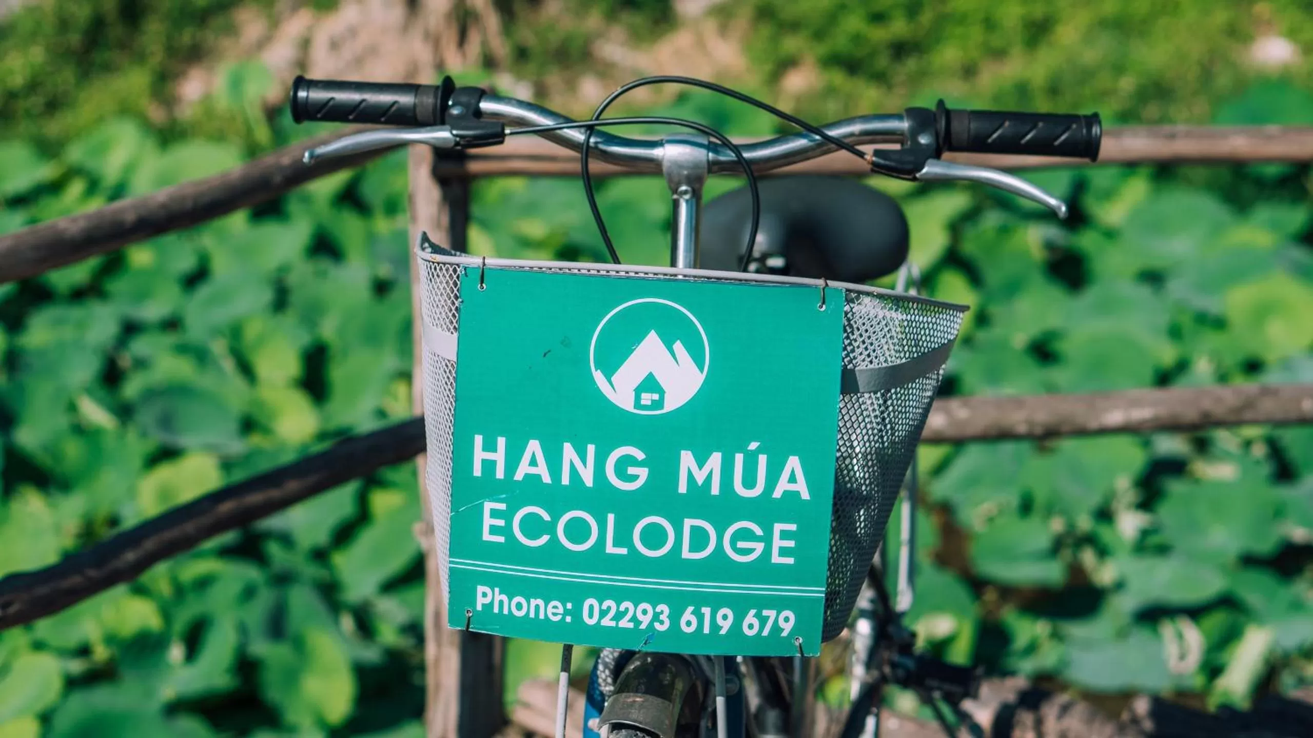 Mua Caves Ecolodge (Hang Mua)