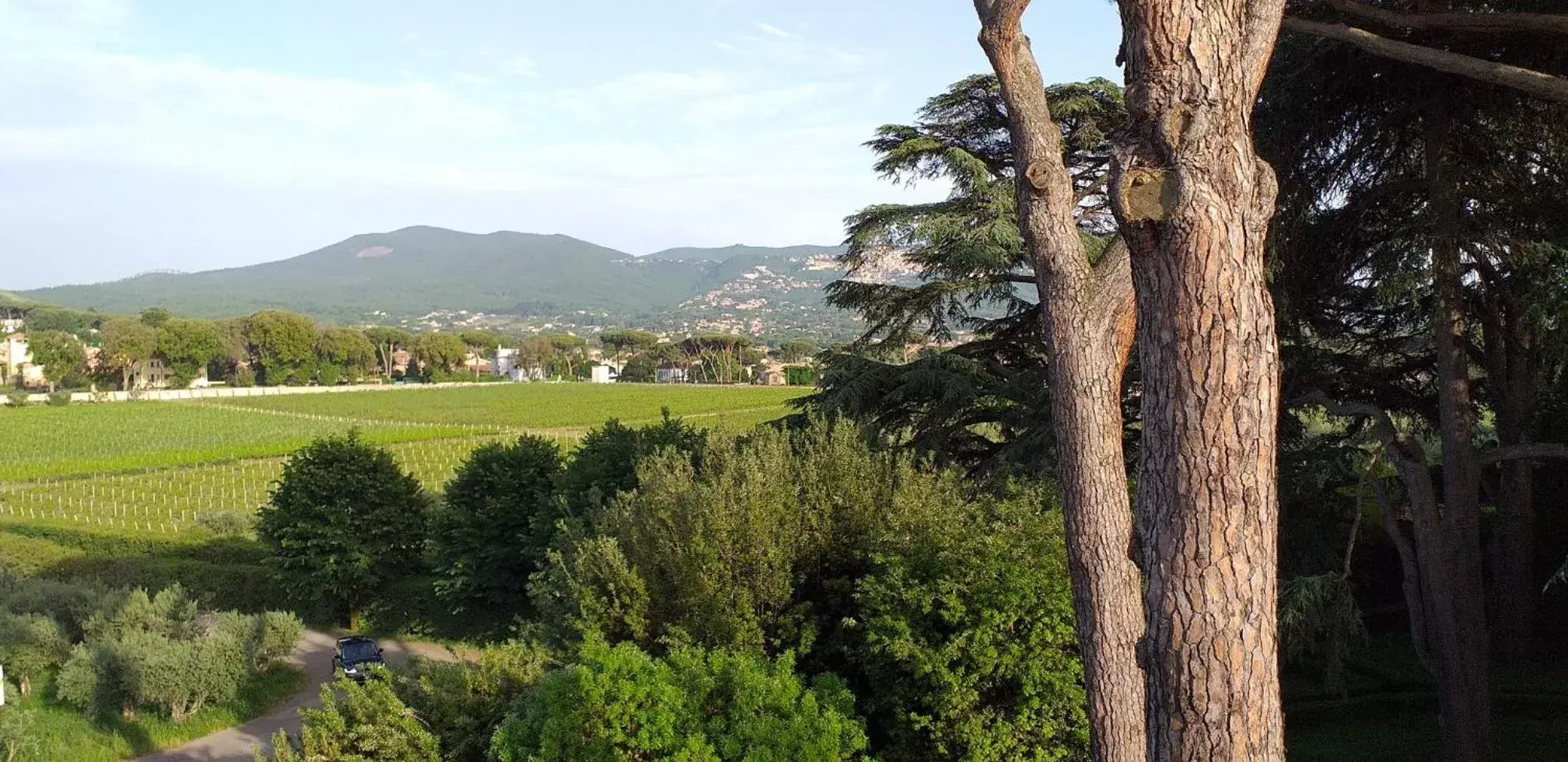 Natural landscape in Villa Cavalletti Appartamenti
