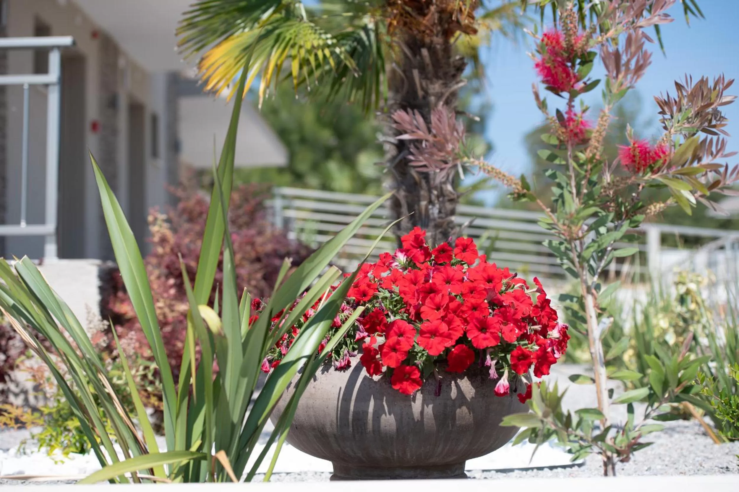 Garden in Villa Sara
