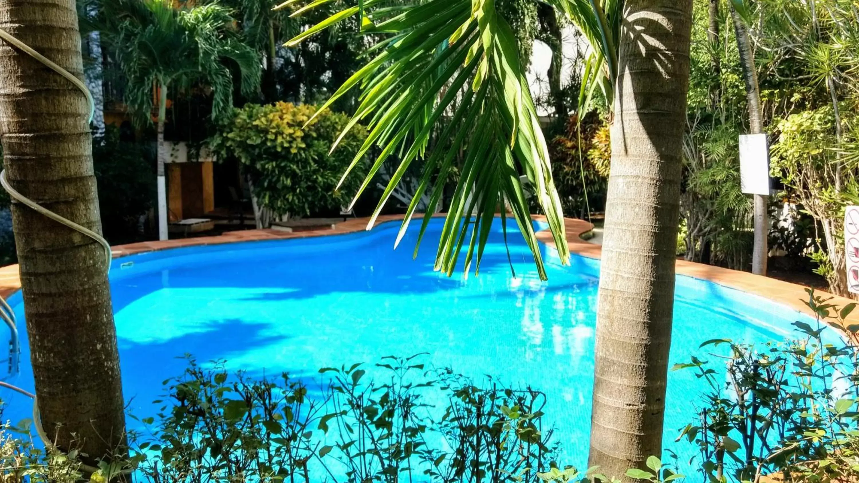 Garden, Swimming Pool in Maya Vacanze Playa Alegria