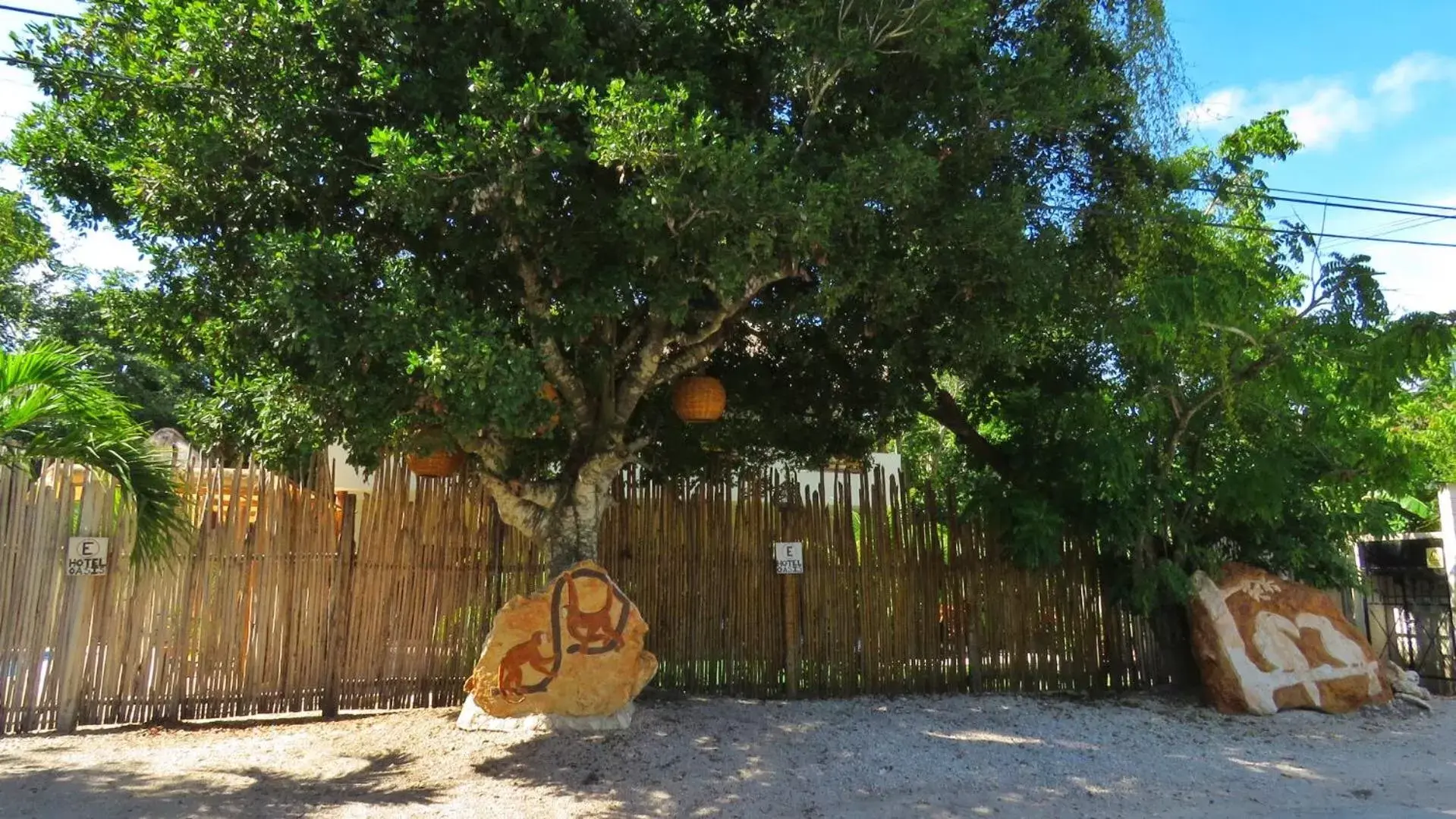 Facade/entrance in Hotel & Suites Oasis Bacalar