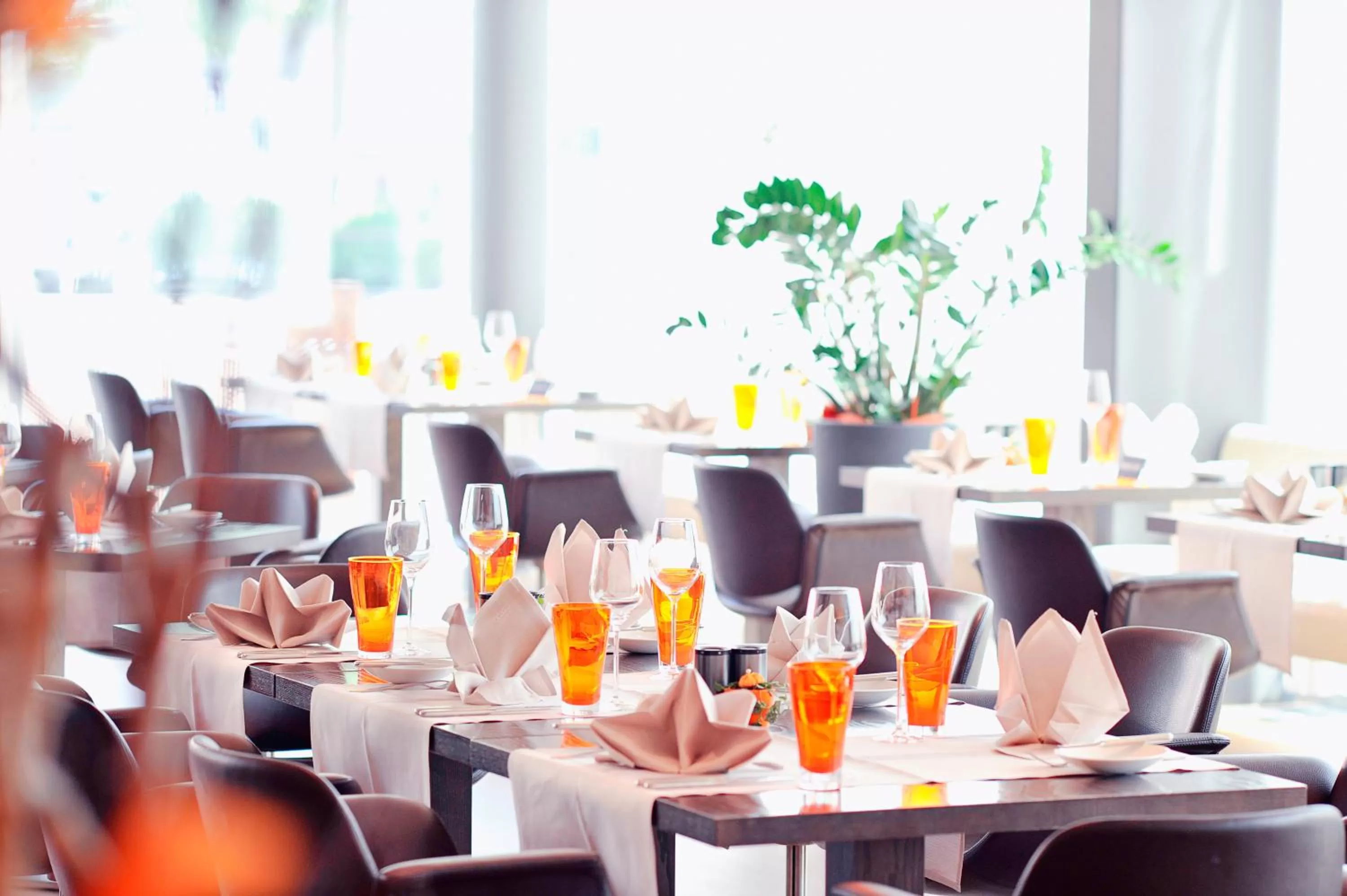 Restaurant/places to eat in Radisson Blu Hotel, Lucerne