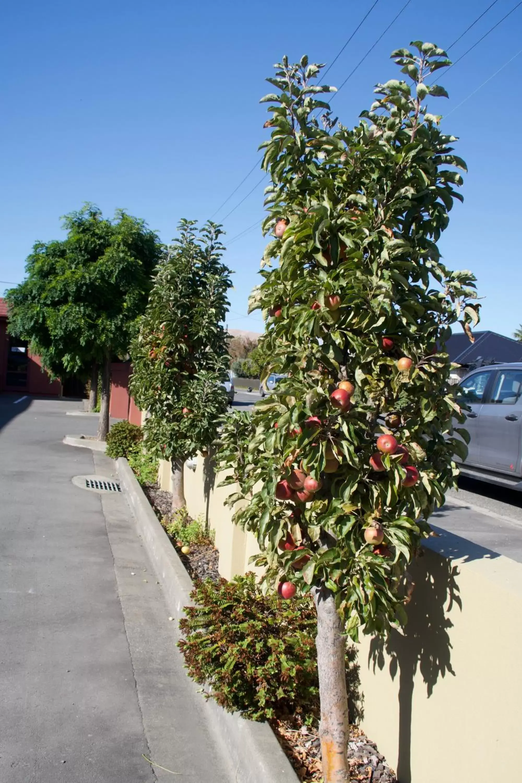 Street view in Blenheim Spa Motor Lodge