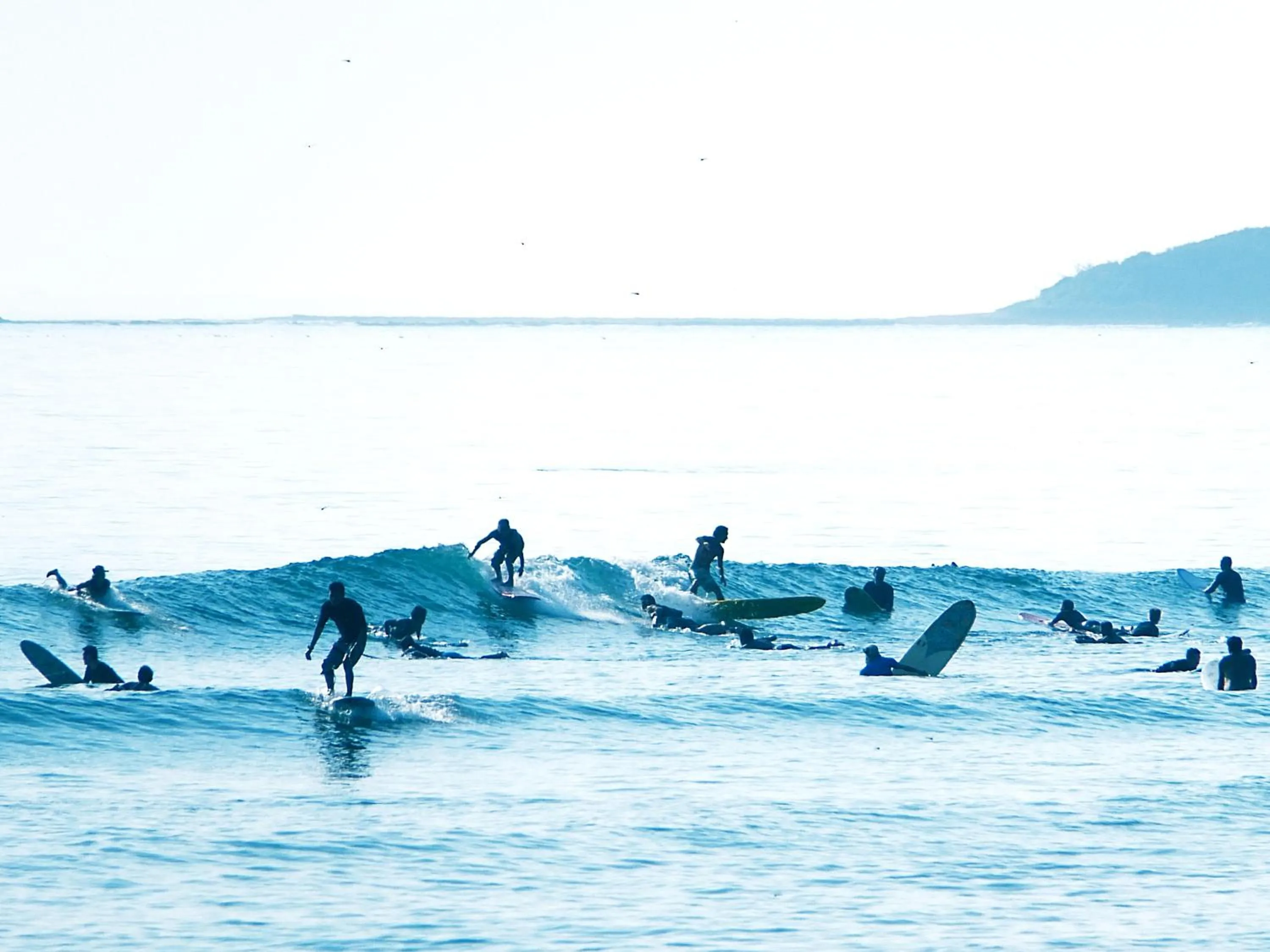 Activities in Cactus Inn