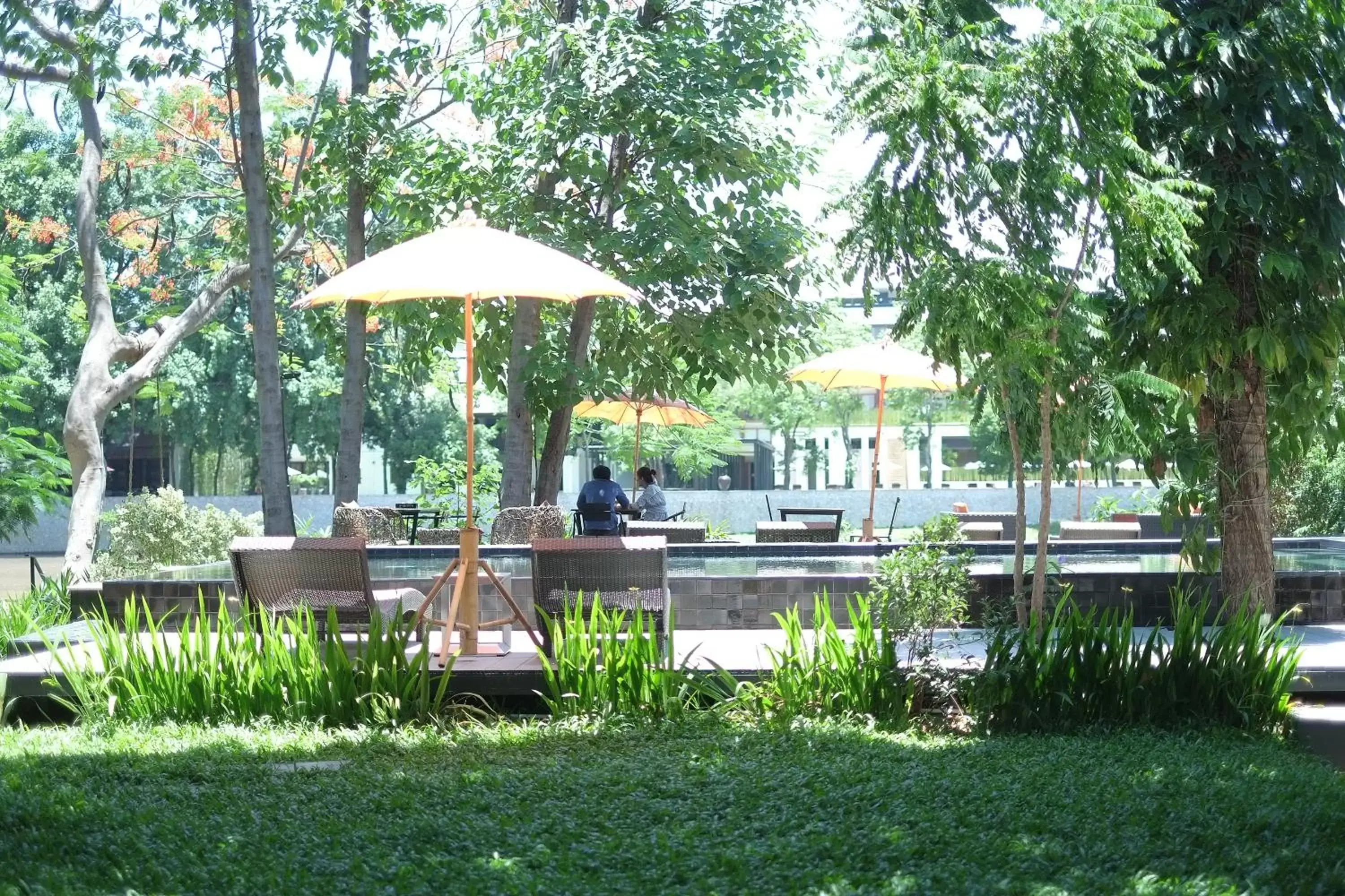 Garden in i-river chiangmai