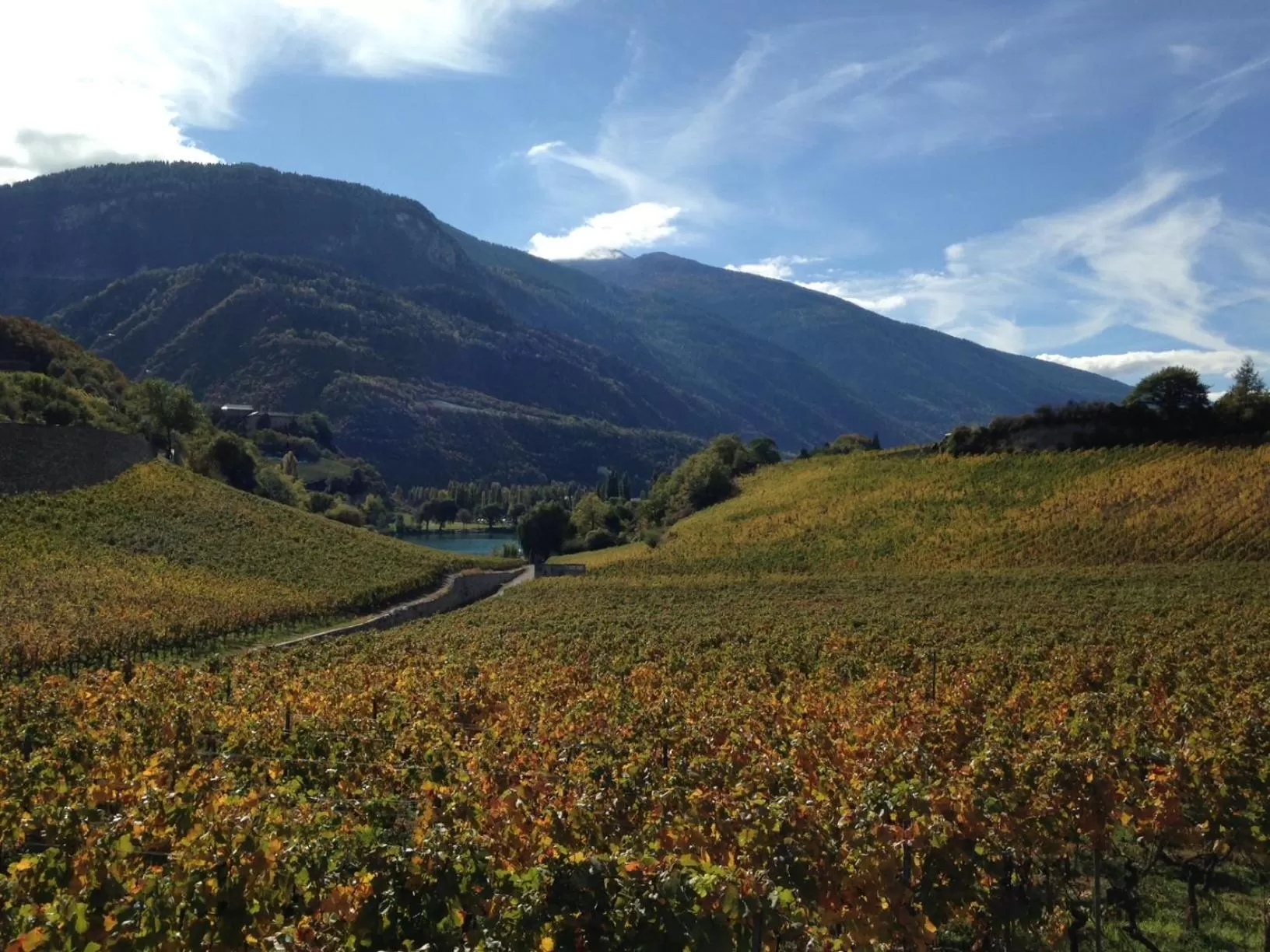 Natural landscape in BnB Chantevent