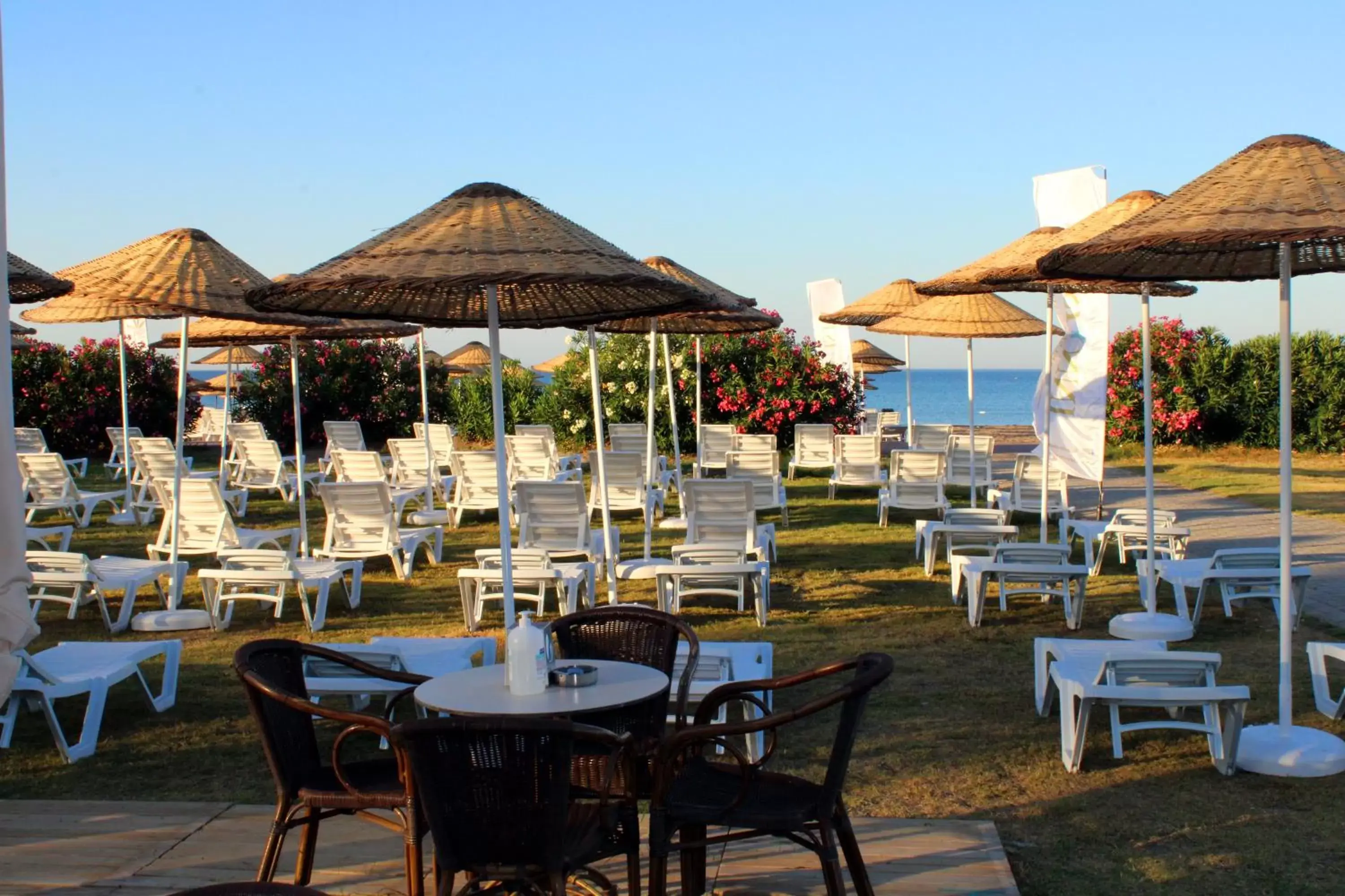 Beach, Restaurant/Places to Eat in Innvista Hotels Belek