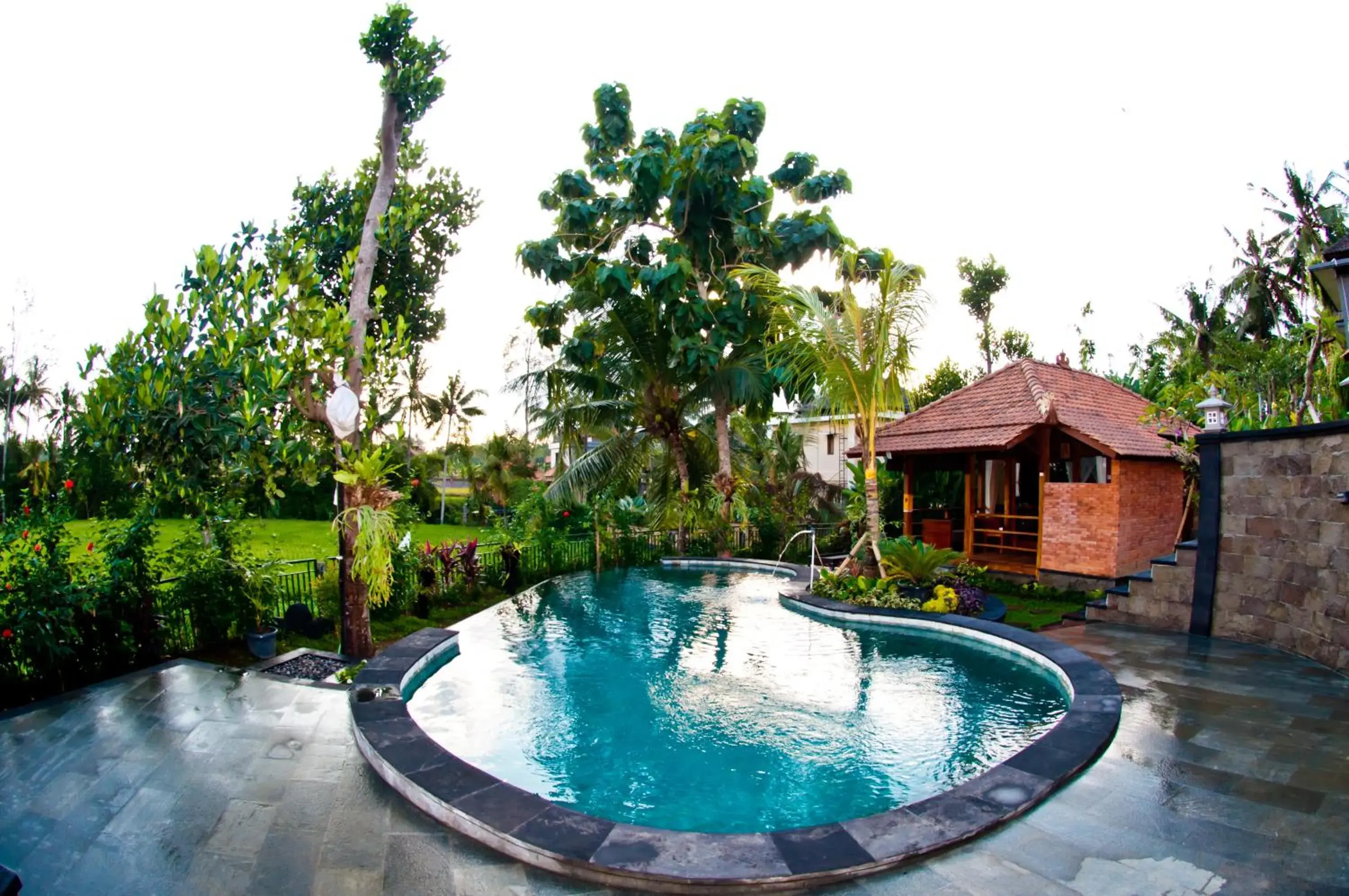 Pool view, Swimming Pool in Puri Kobot