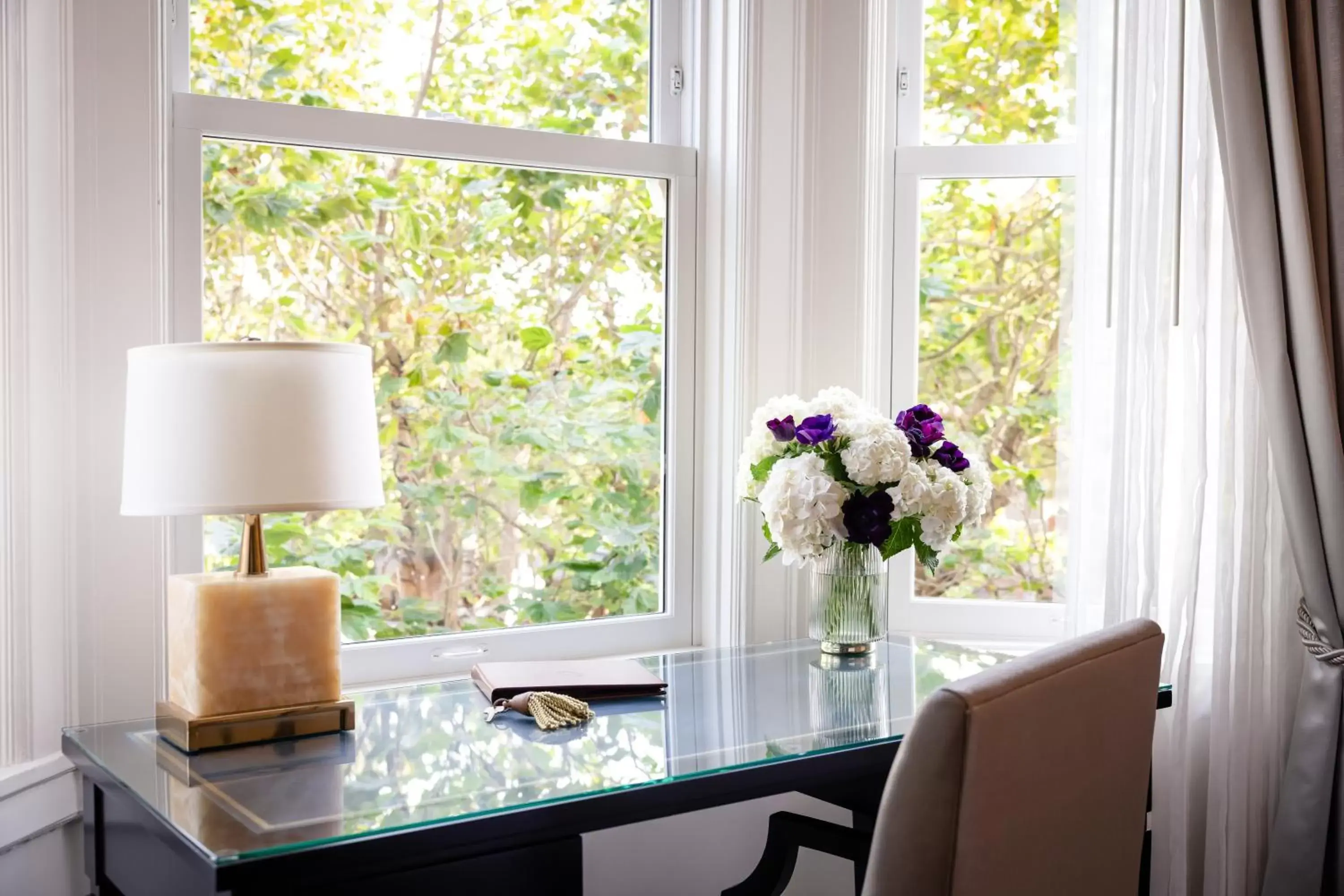 View (from property/room) in Hotel Drisco View (from property/room) in Hotel Drisco