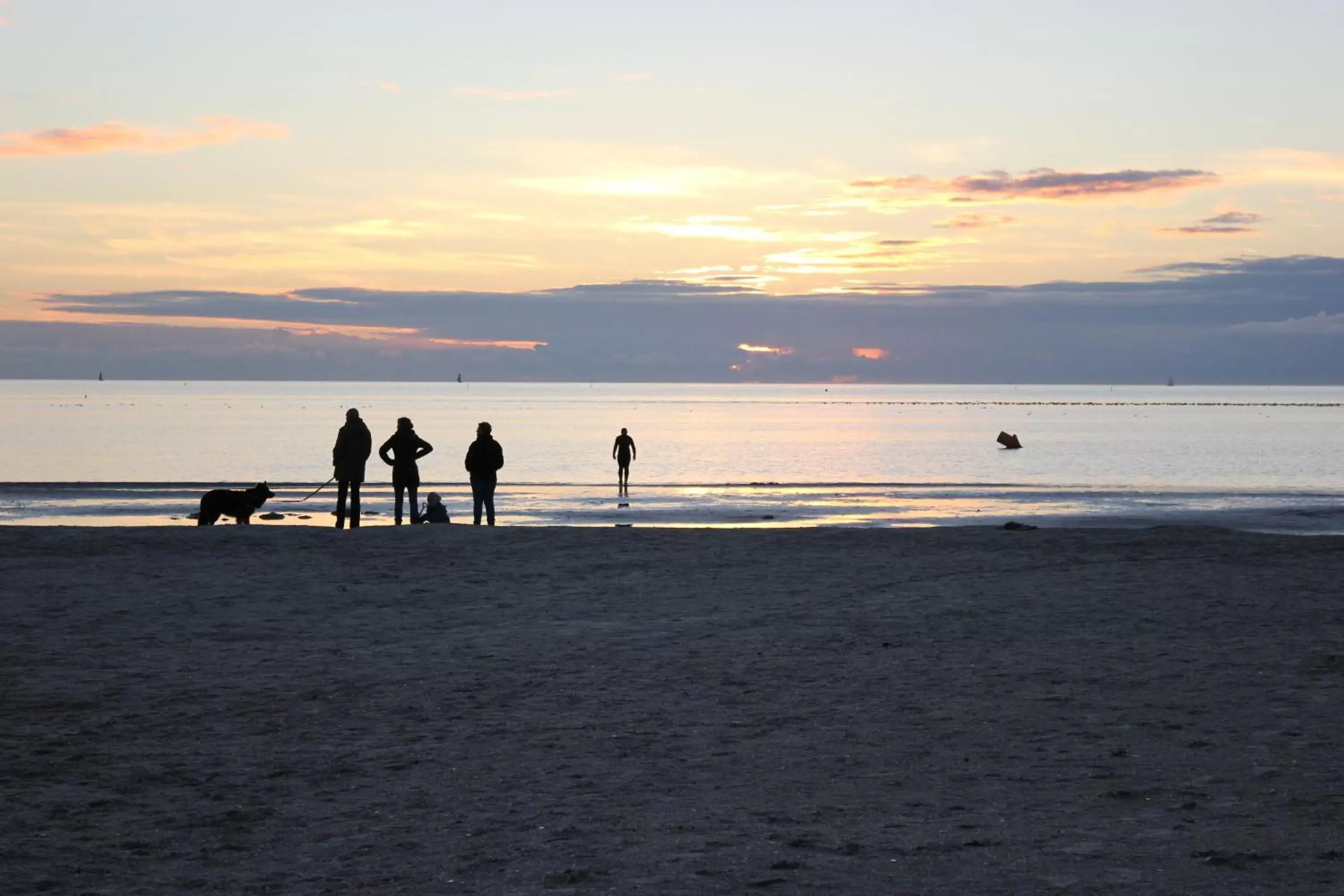 Hiking, Beach in B&B Welgelegen