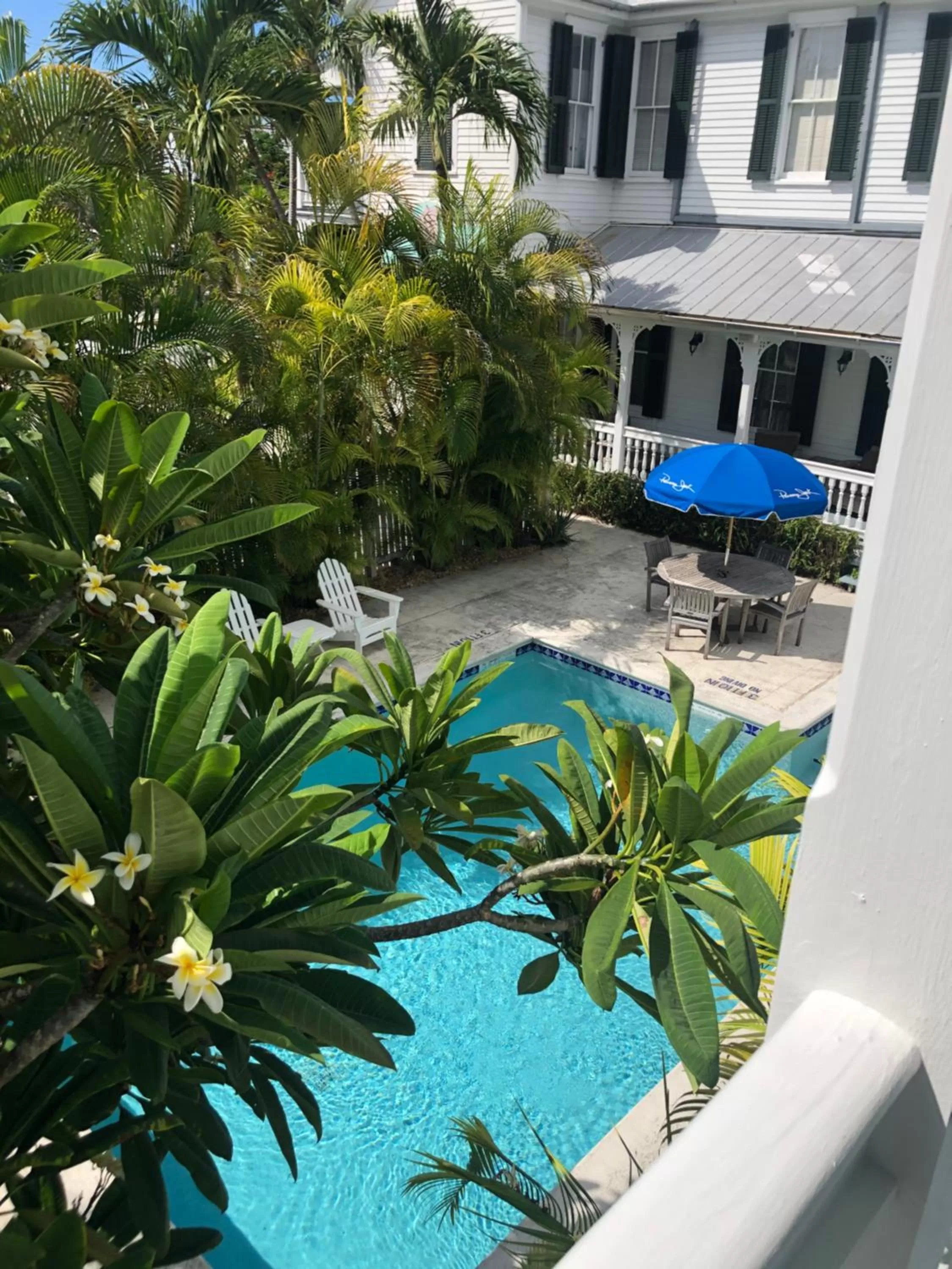 Pool View in The Conch House Heritage Inn