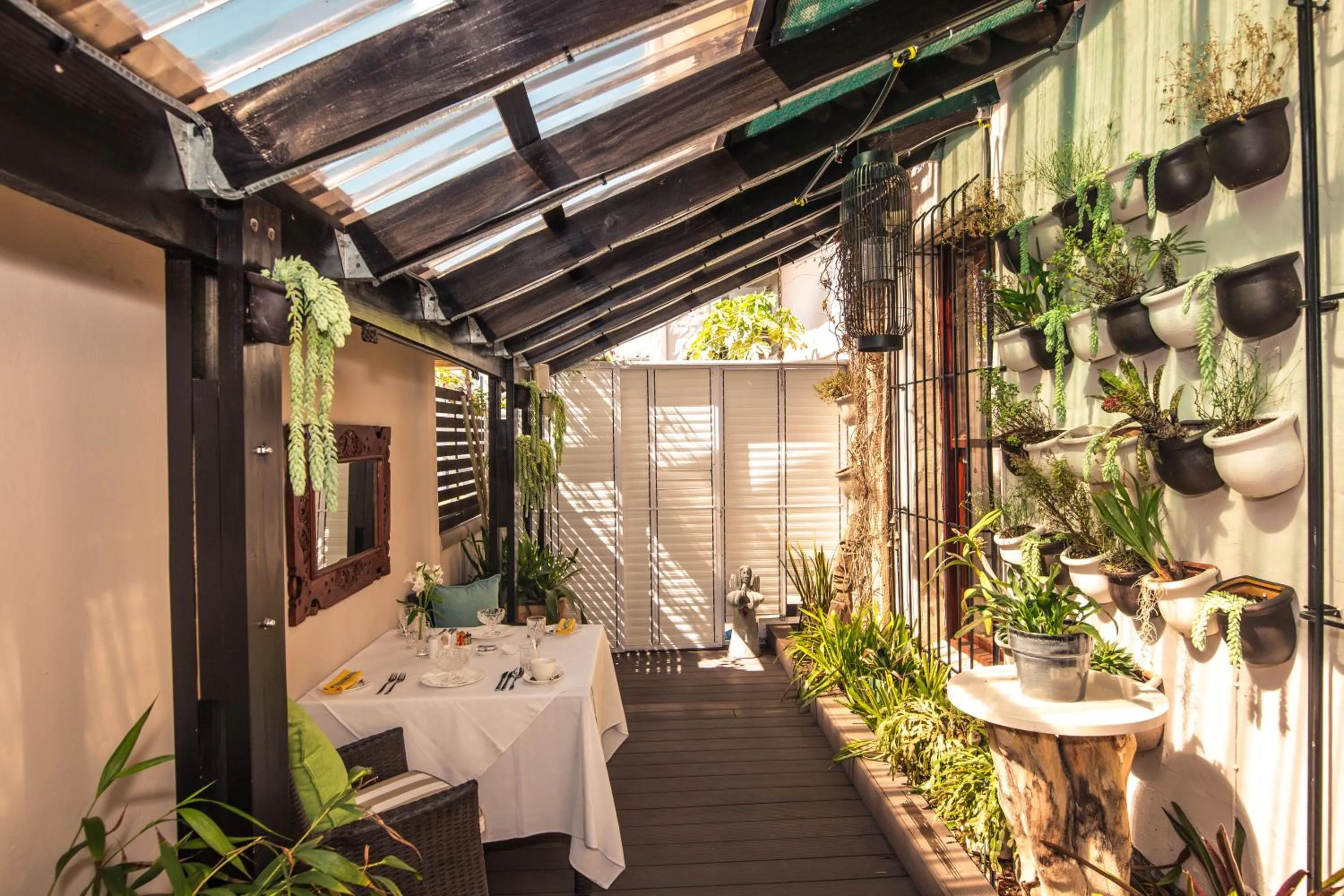 Garden in Point B Guest House -Sustainable Solar Energy