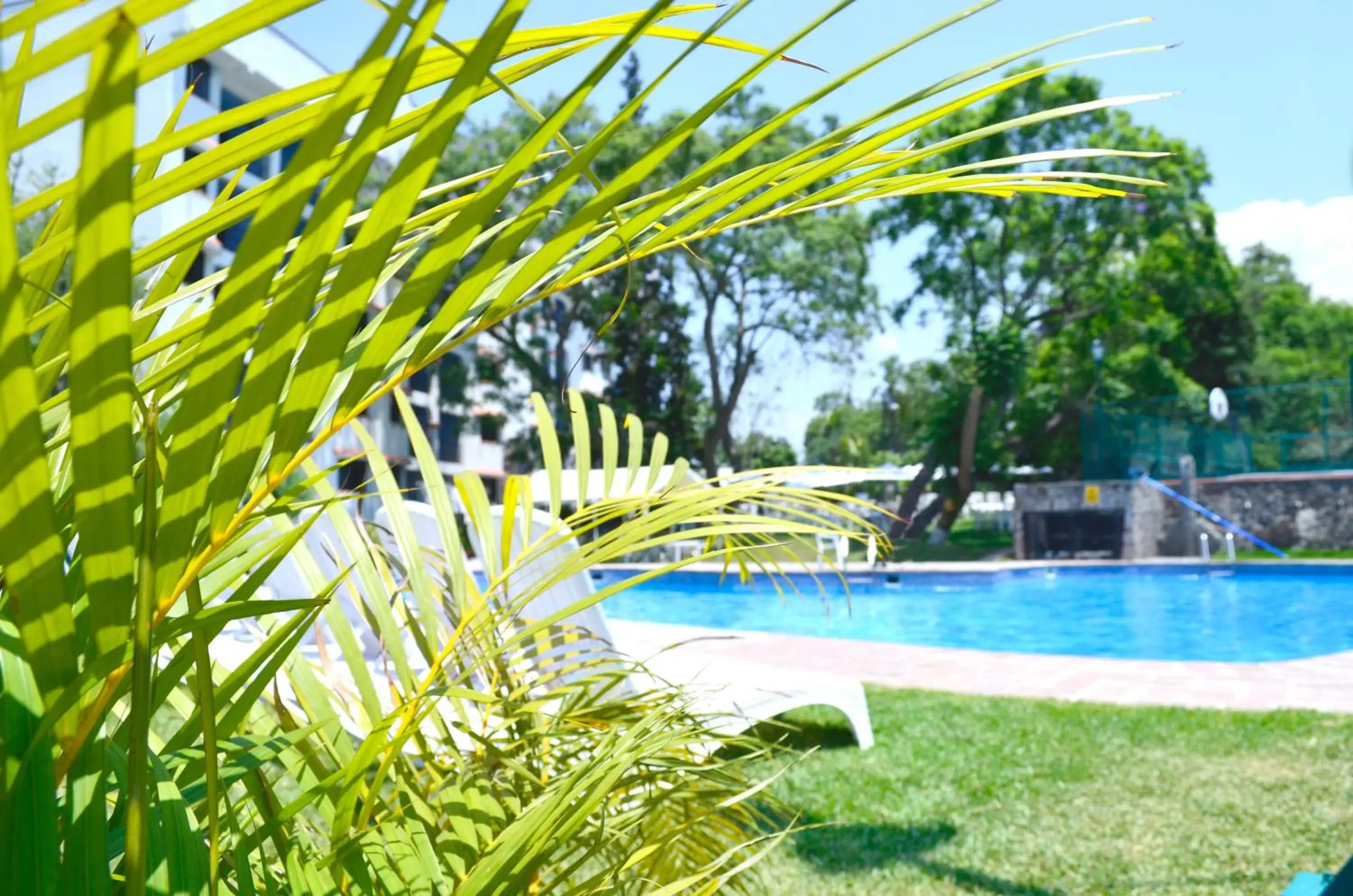 Area and facilities, Swimming Pool in Hotel Coral Cuernavaca Resort & Spa