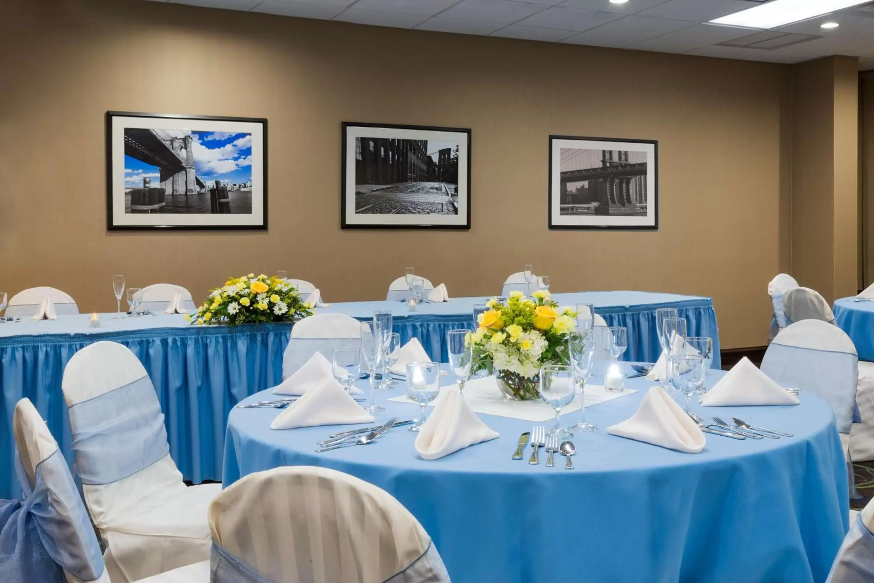 Meeting/conference room, Banquet Facilities in Hampton Inn White Plains/Tarrytown