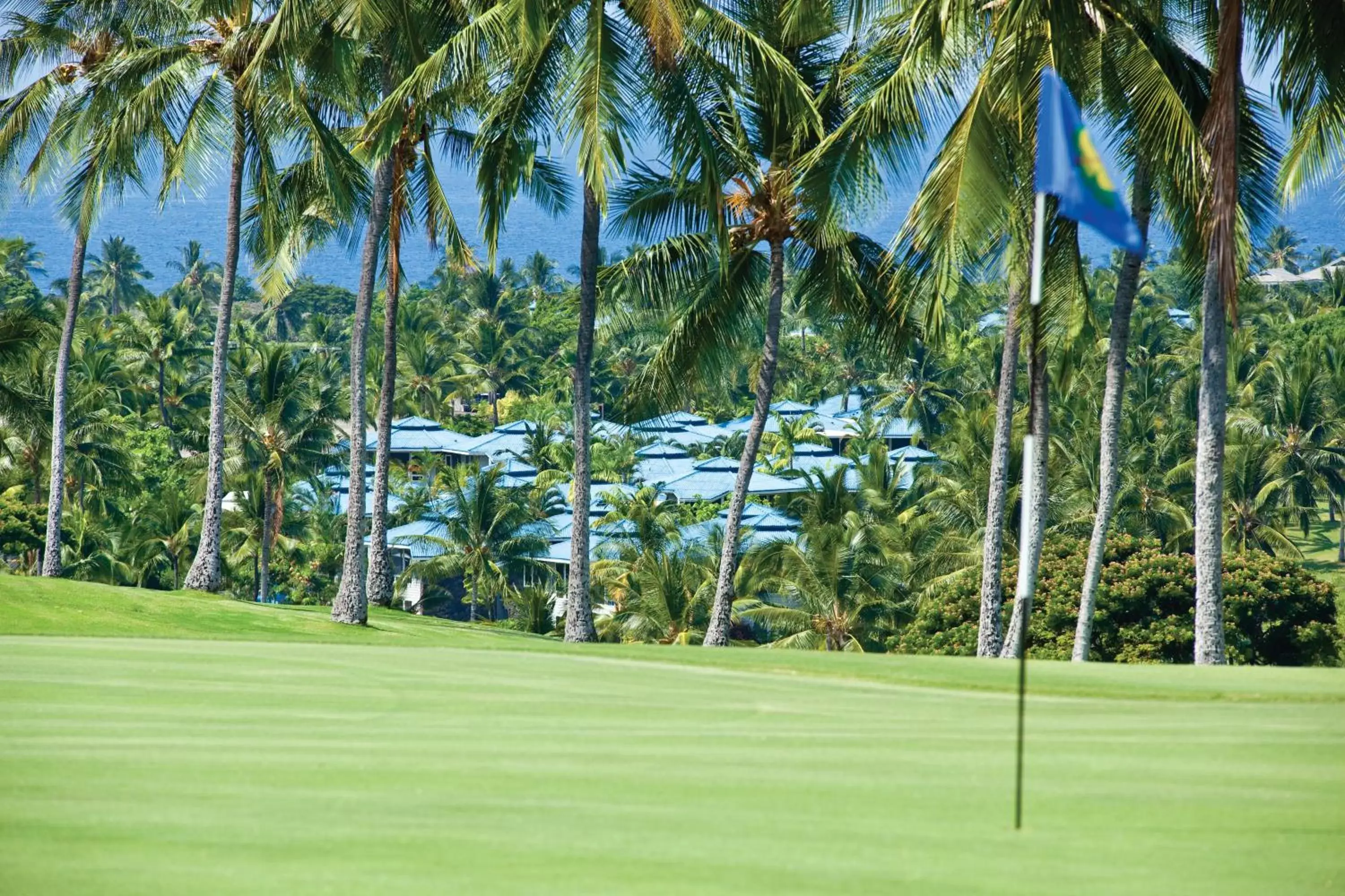 Natural landscape, Golf in Holua Resort