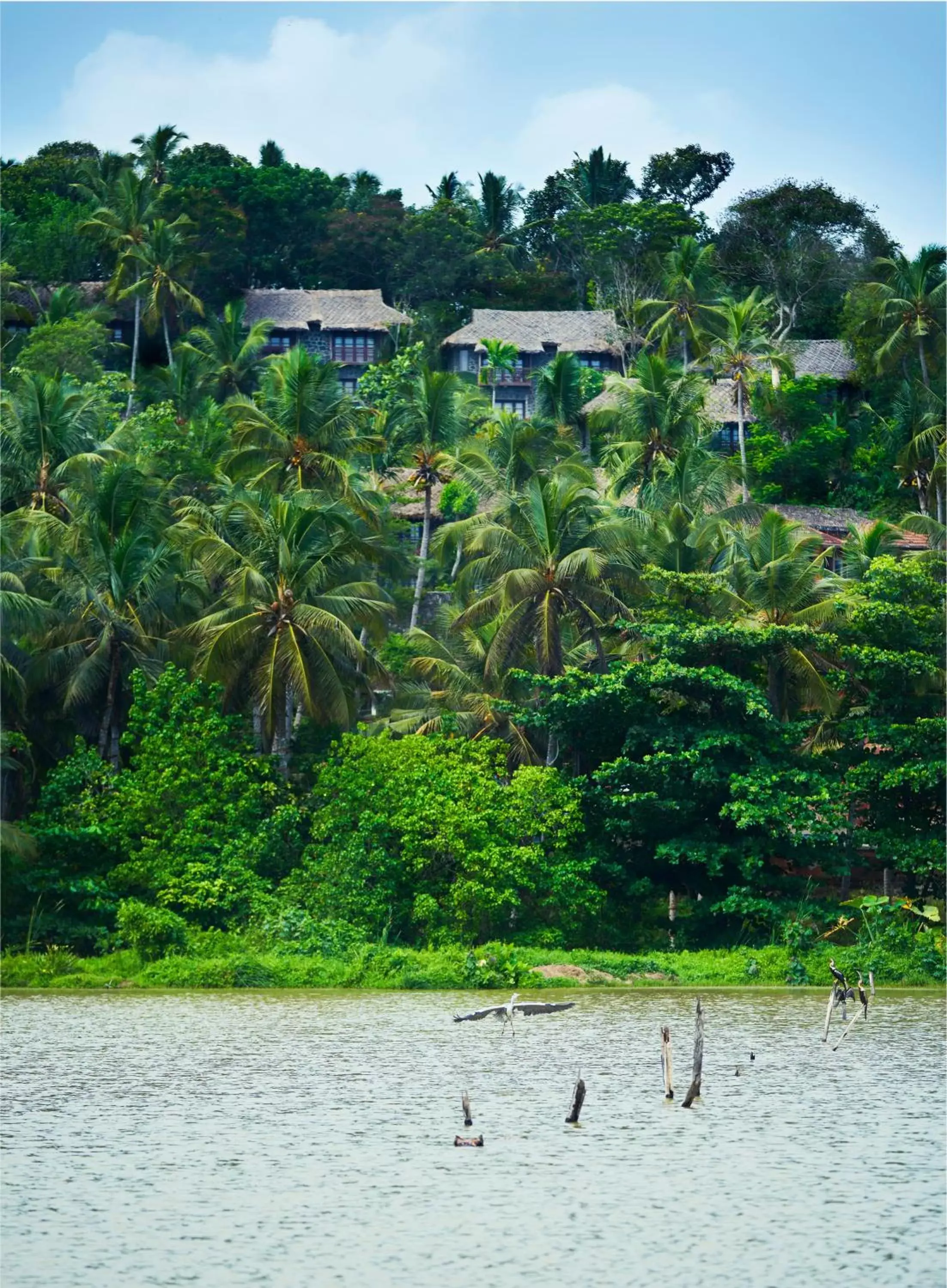 Natural landscape in Taj Green Cove Resort and Spa Kovalam