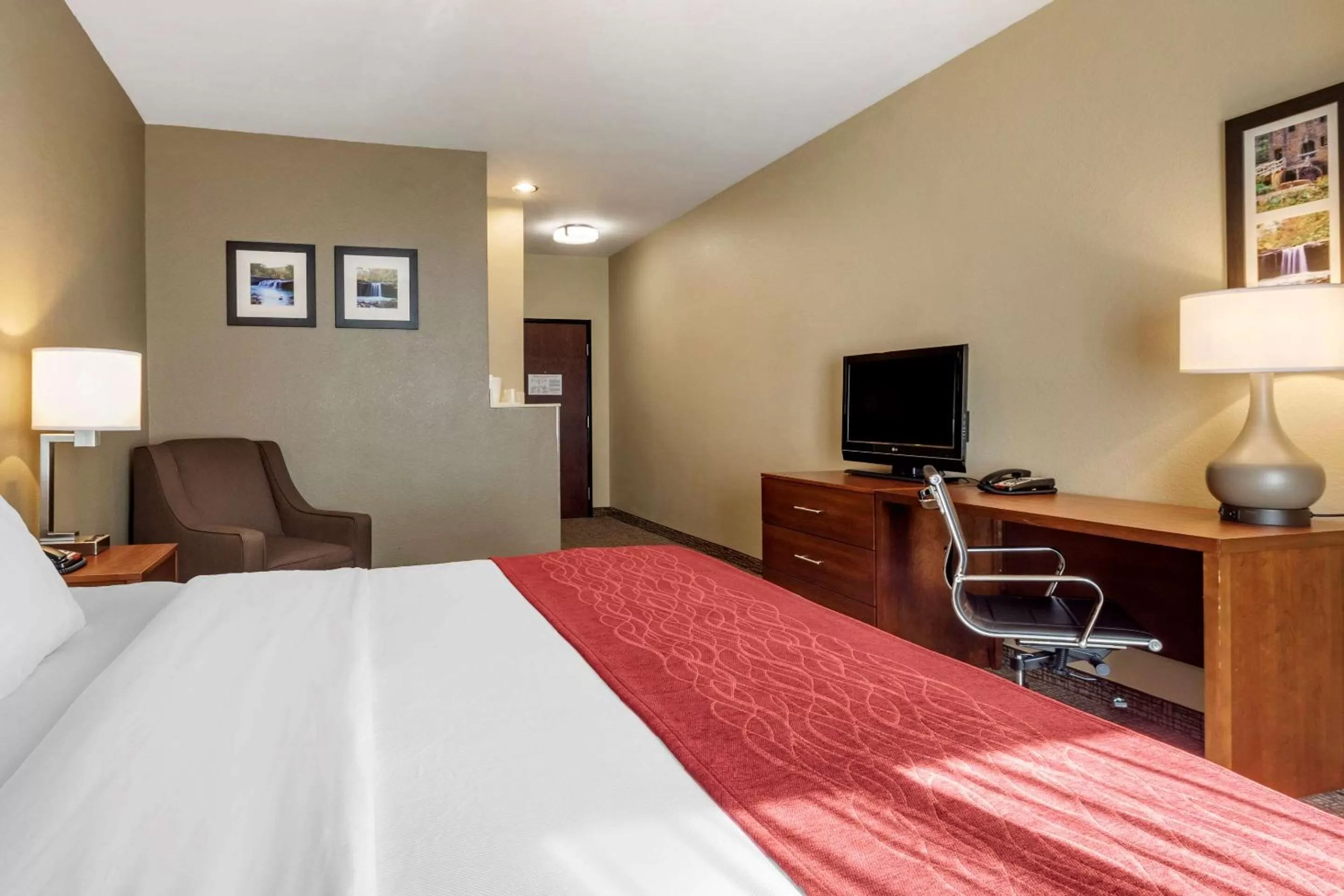 Photo of the whole room, Bed in Comfort Inn & Suites Russellville I-40