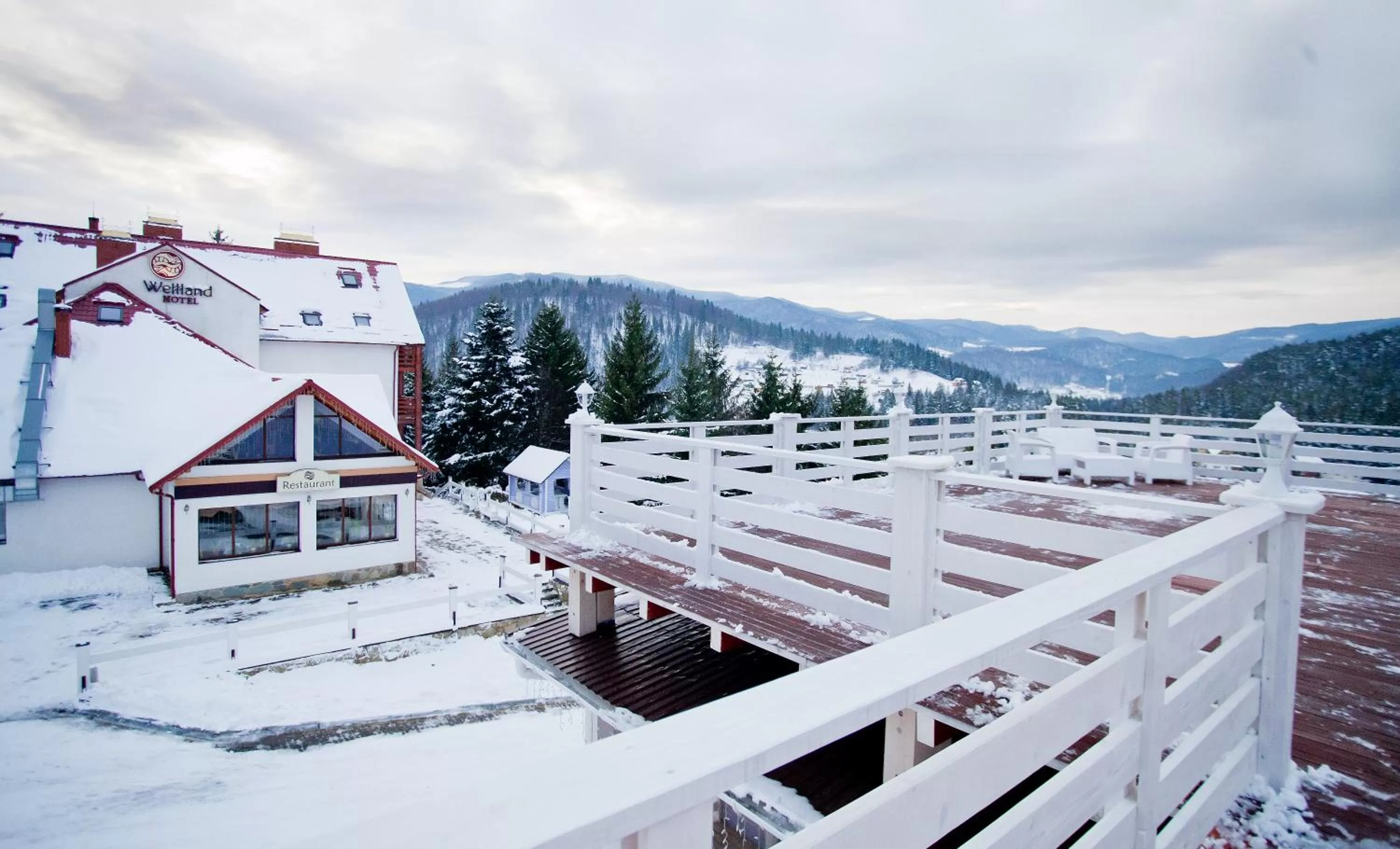 Other, Winter in Wellland Hotel